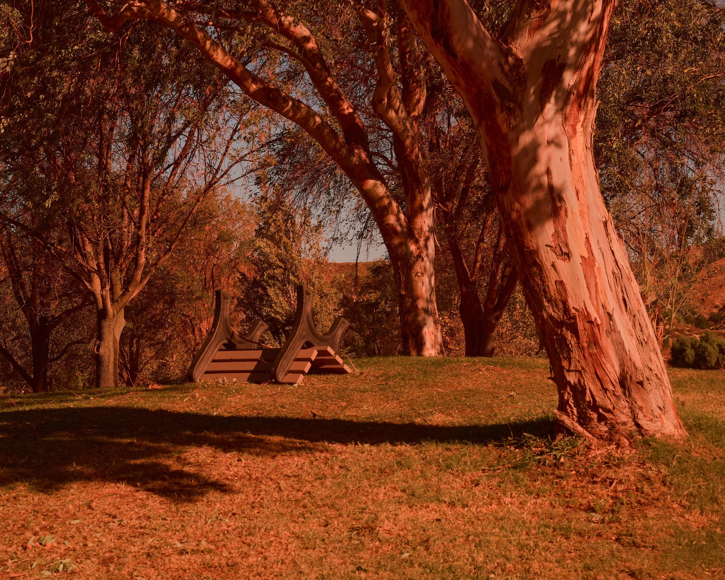 2024-08-23-©KevinAndrewLandes-Zoo-001-MSMD 6.jpg