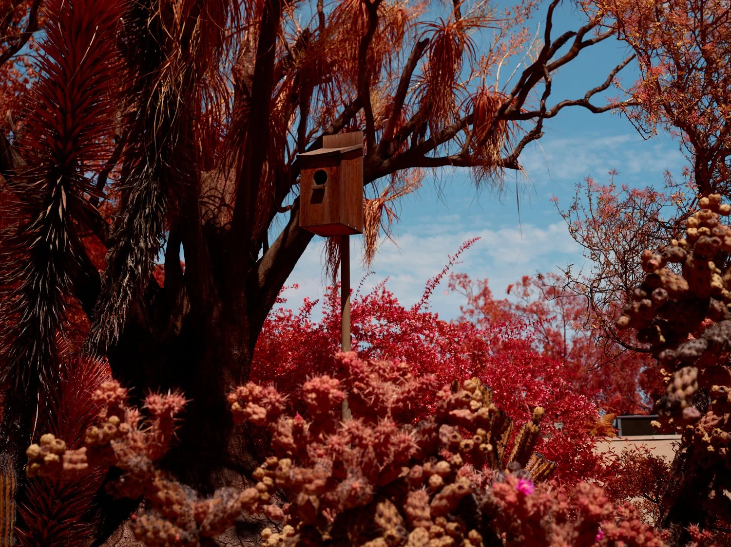 2024-08-23-©KevinAndrewLandes-Zoo-001-MSMD 1.jpg