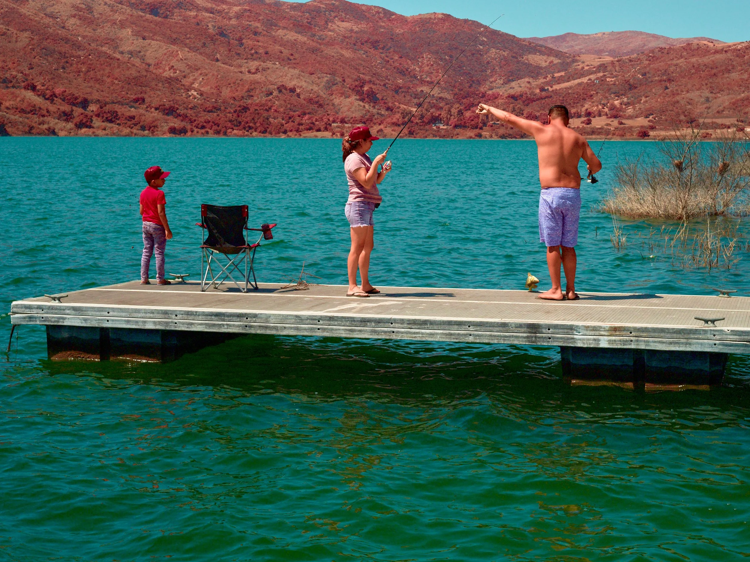 2024-08-23-©KevinAndrewLandes-Zoo-001-MSMD 21.jpg