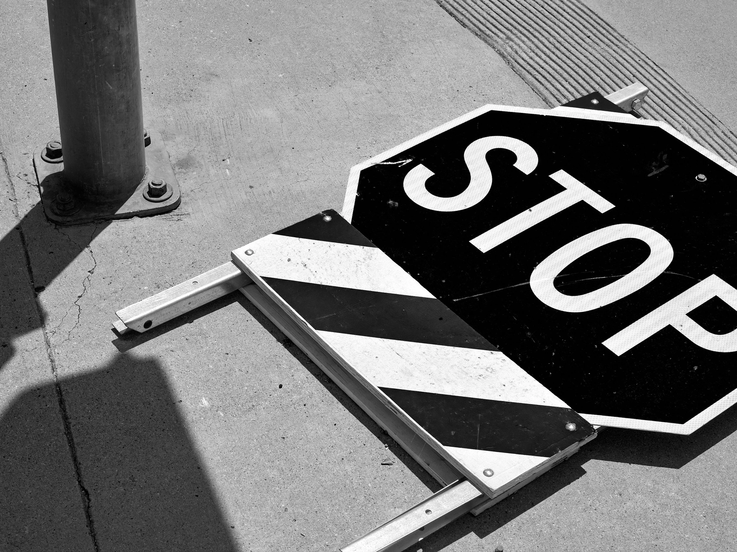 2024-08-23-©KevinAndrewLandes-Zoo-001-MSMD 46.jpg