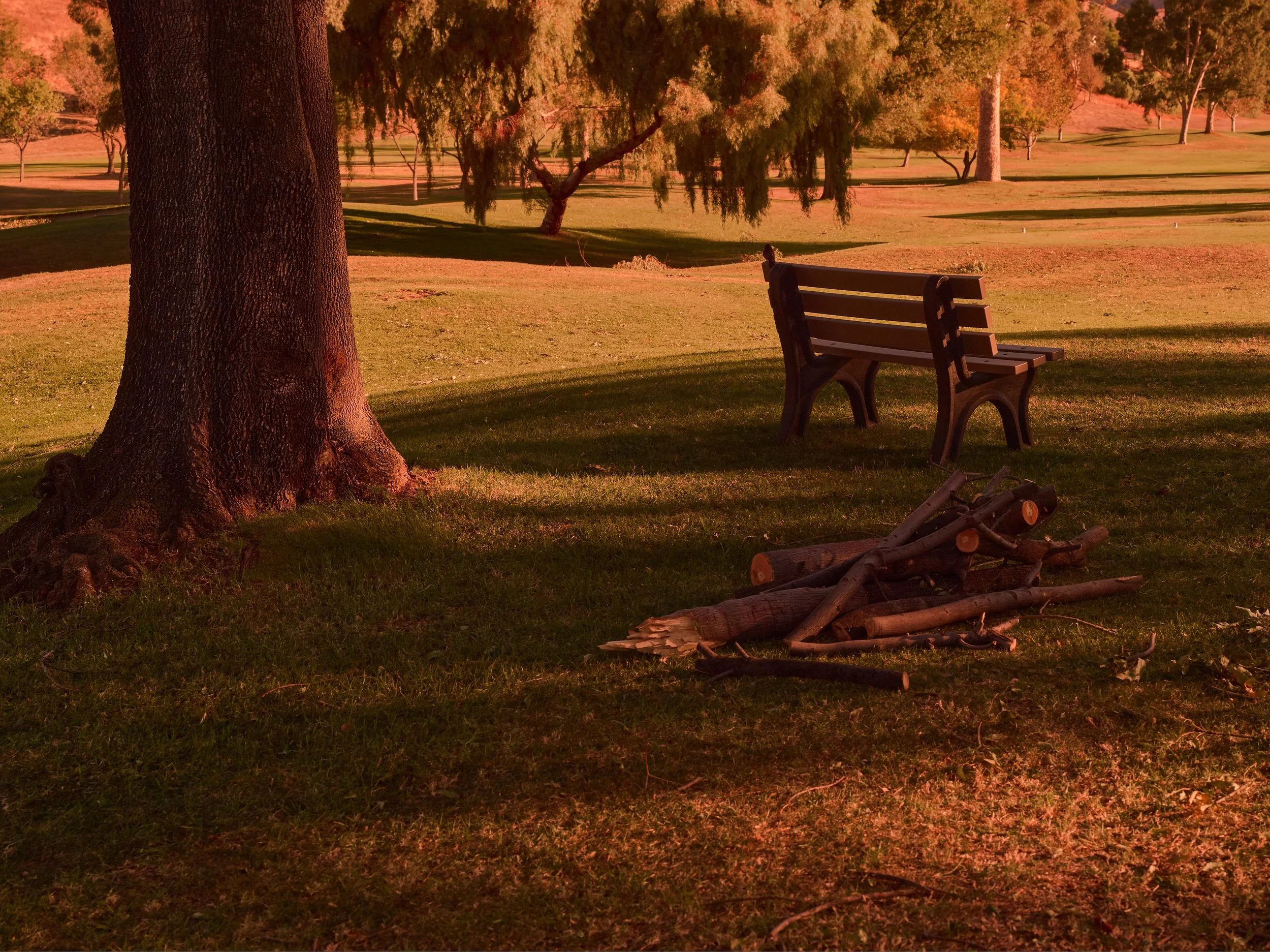 2024-08-23-©KevinAndrewLandes-Zoo-001-MSMD 7.jpg