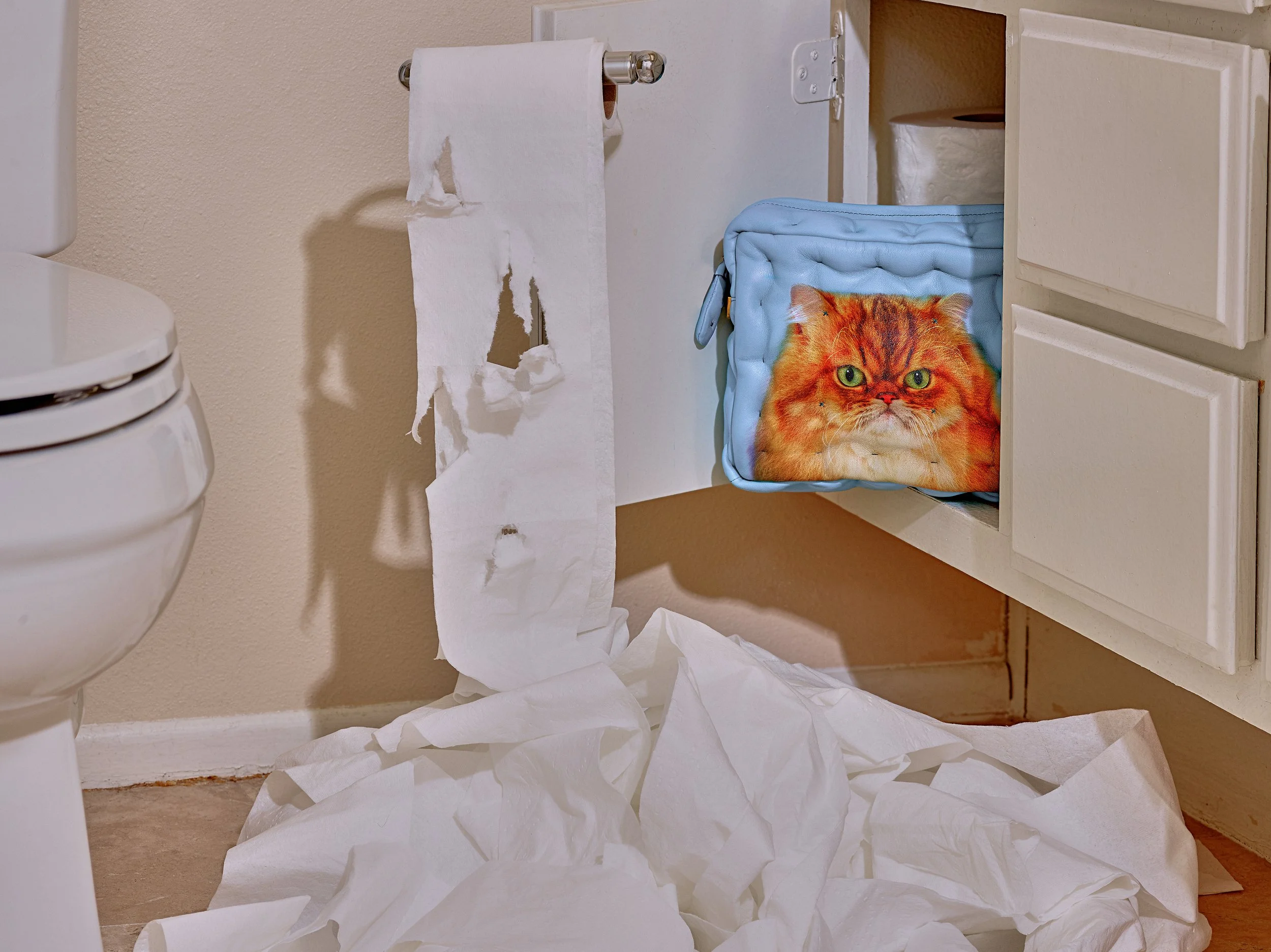 2024-08-23-©KevinAndrewLandes-Zoo-001-MSMD 9.jpg