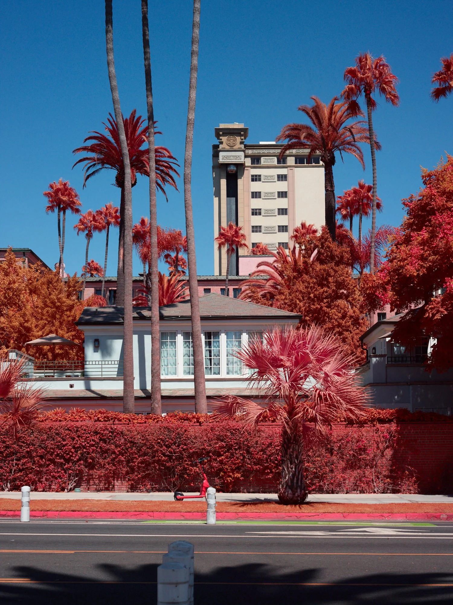 2024-08-23-©KevinAndrewLandes-Zoo-001-MSMD 9.jpg