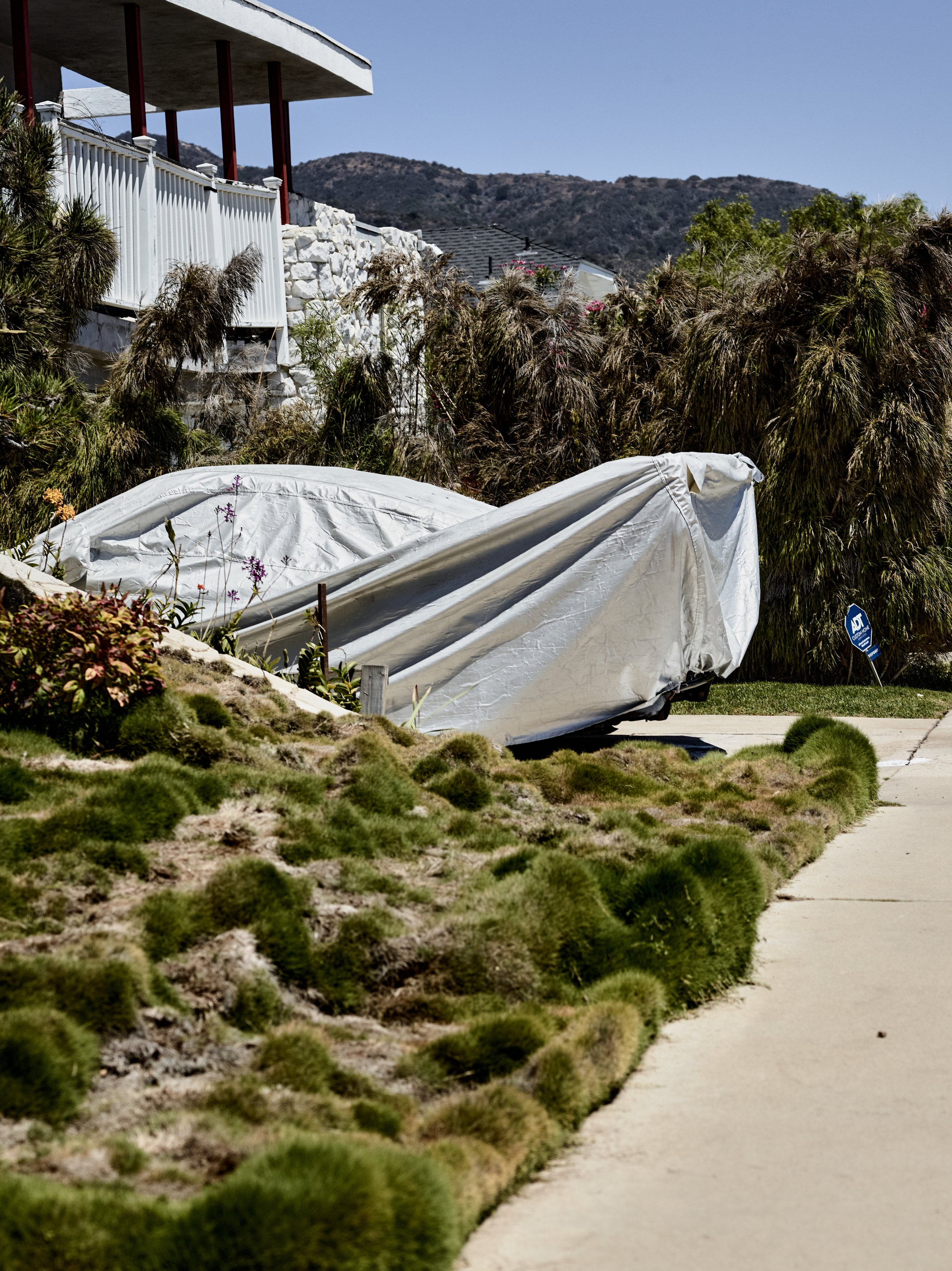 2024-08-23-©KevinAndrewLandes-Zoo-001-MSMD 14.jpg