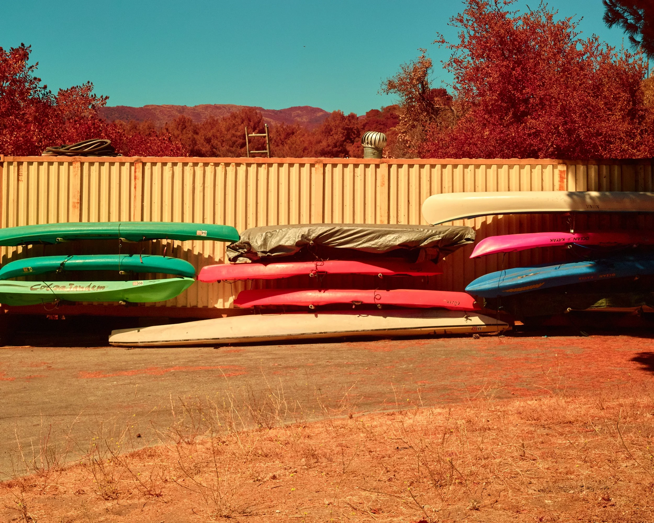 2024-08-23-©KevinAndrewLandes-Zoo-001-MSMD 19.jpg