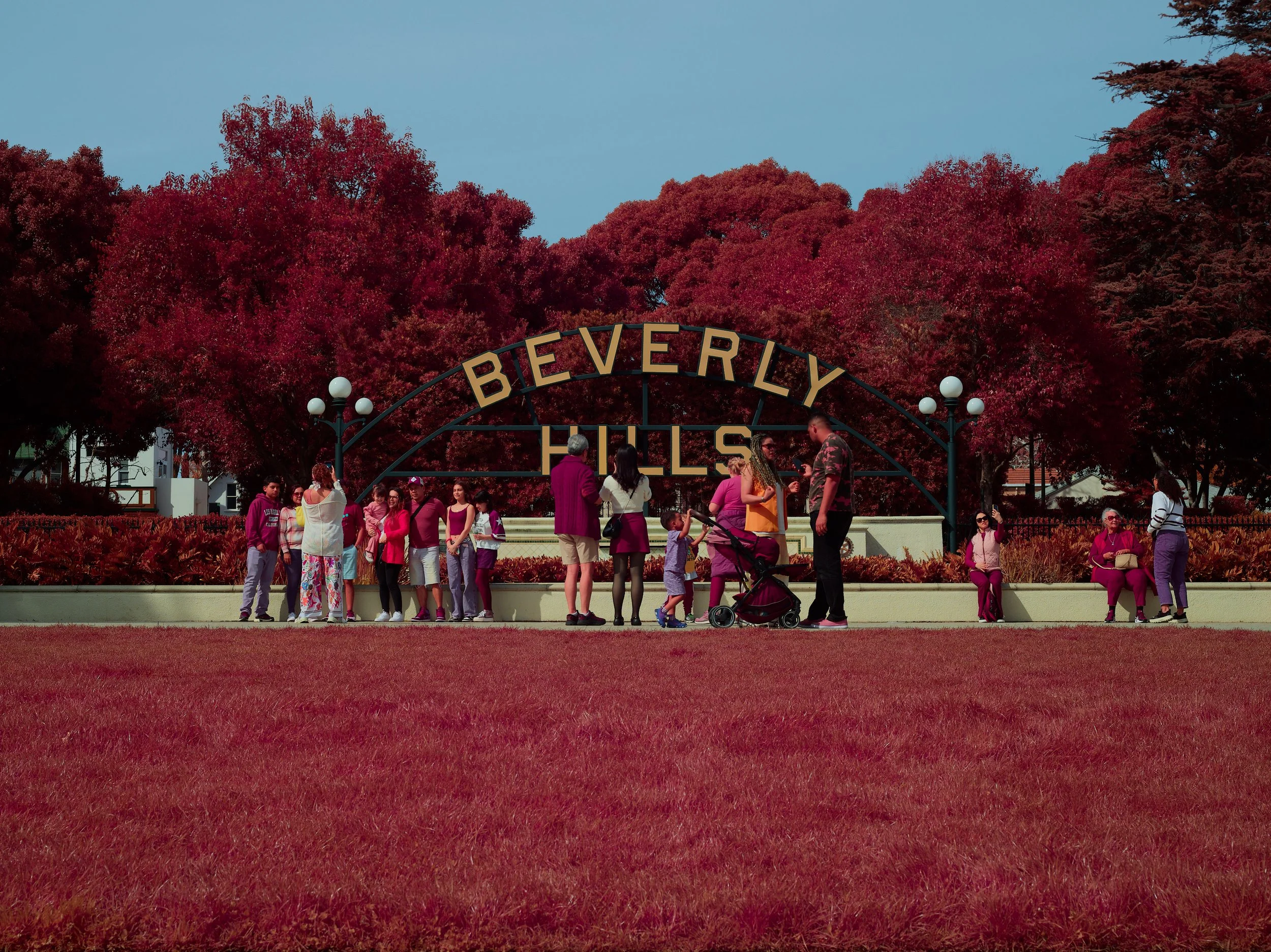 2024-08-23-©KevinAndrewLandes-Zoo-001-MSMD 3.jpg