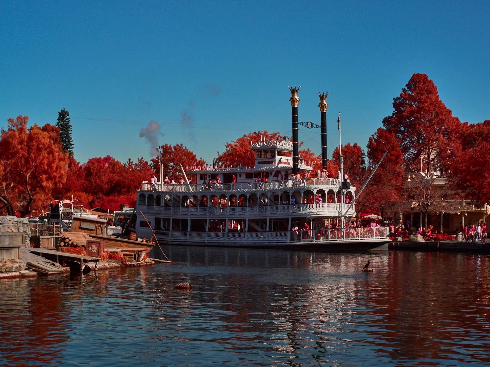 Imagine the Disney River Cruise boat gliding through an infrared landscape, like it’s traveling through a world within a world.