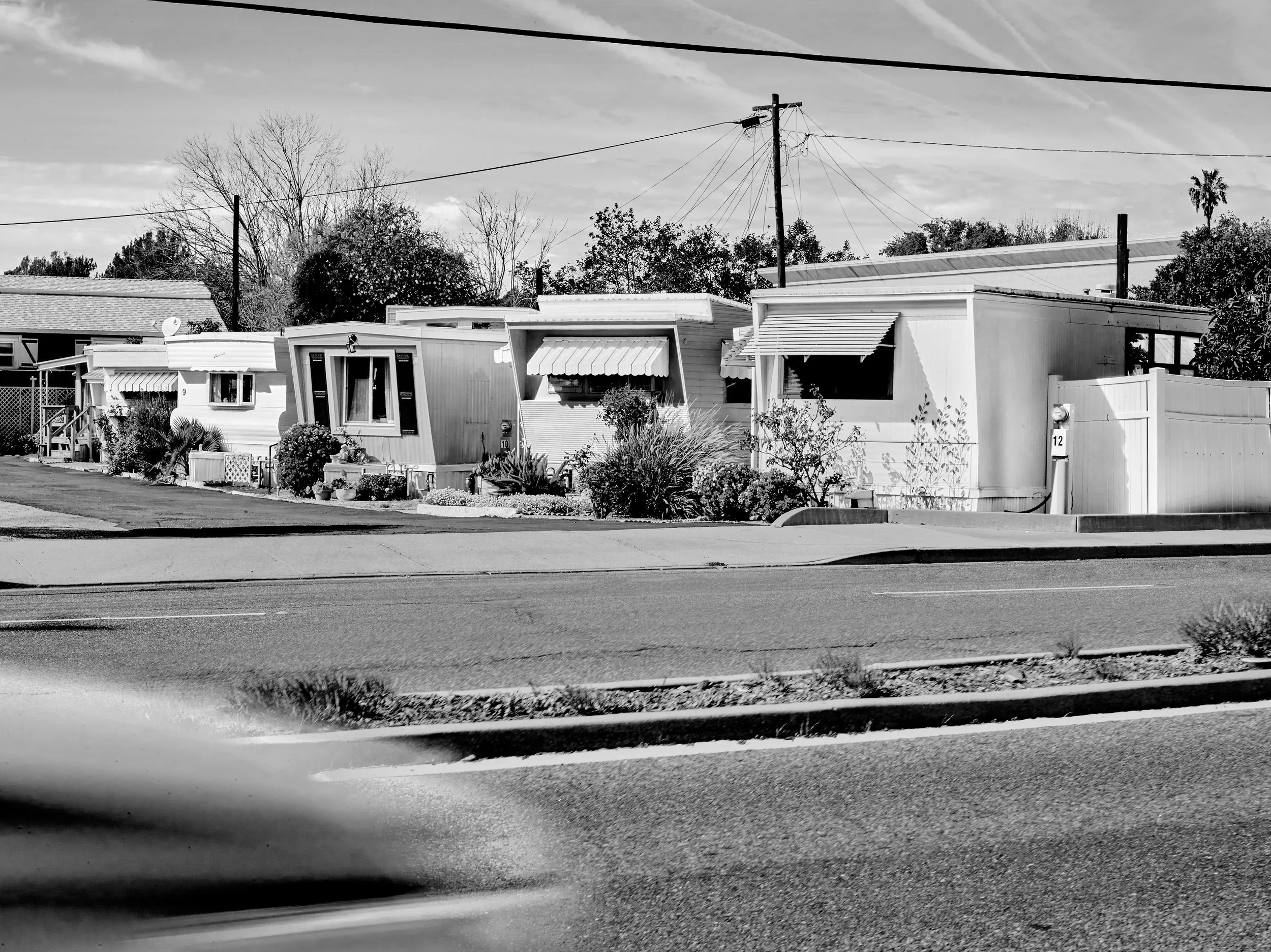 2024-08-23-©KevinAndrewLandes-Zoo-001-MSMD 51.jpg