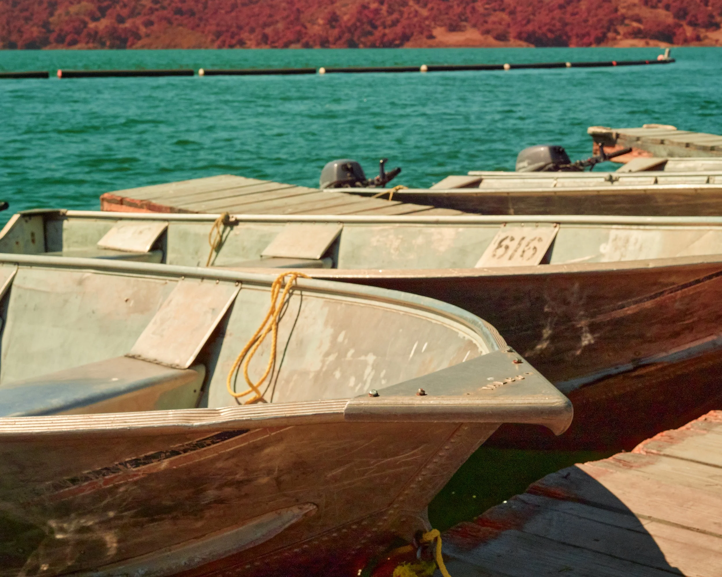 2024-08-23-©KevinAndrewLandes-Zoo-001-MSMD 24.jpg