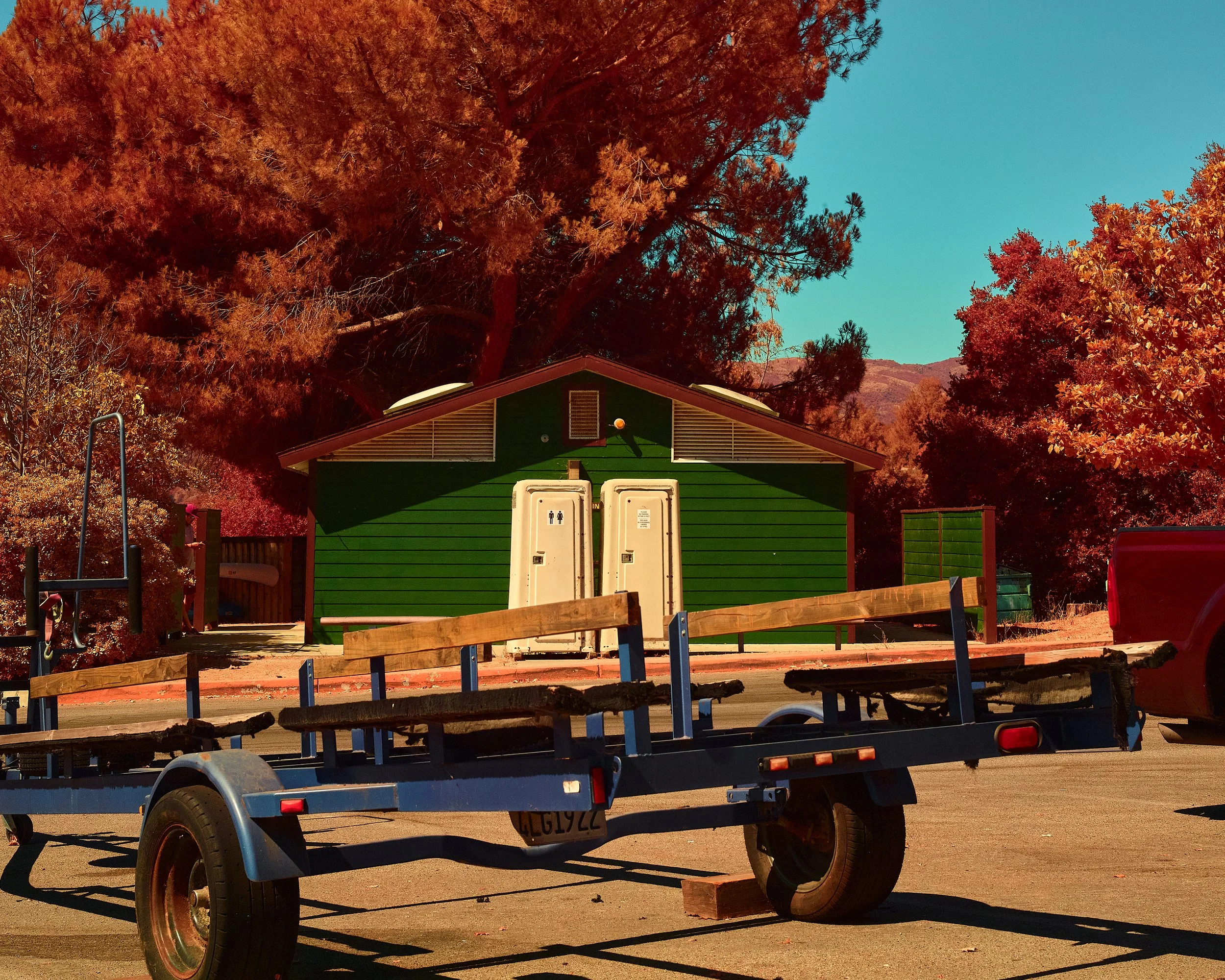 2024-08-23-©KevinAndrewLandes-Zoo-001-MSMD 26.jpg