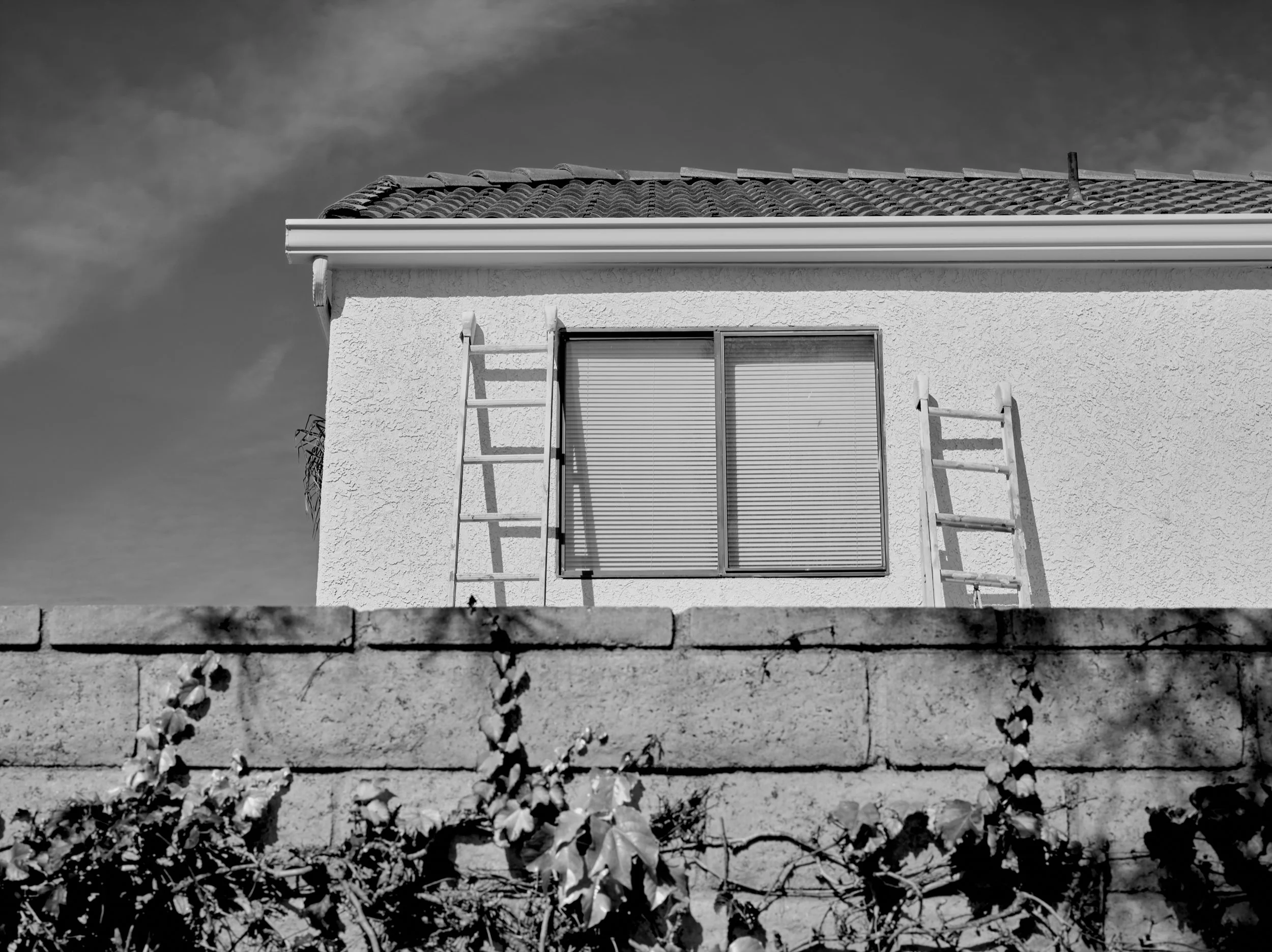 2024-08-23-©KevinAndrewLandes-Zoo-001-MSMD 50.jpg