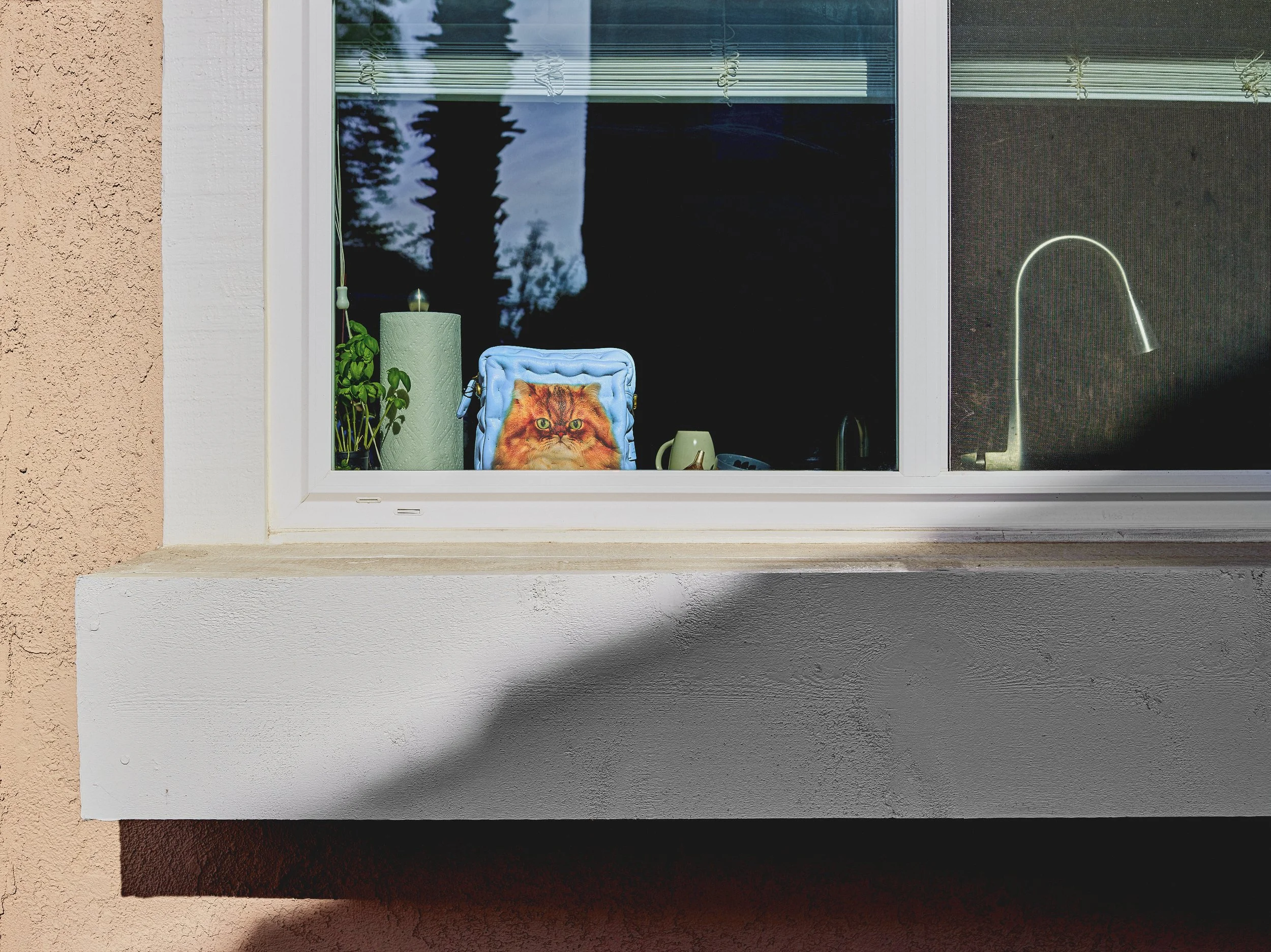 2024-08-23-©KevinAndrewLandes-Zoo-001-MSMD 5.jpg