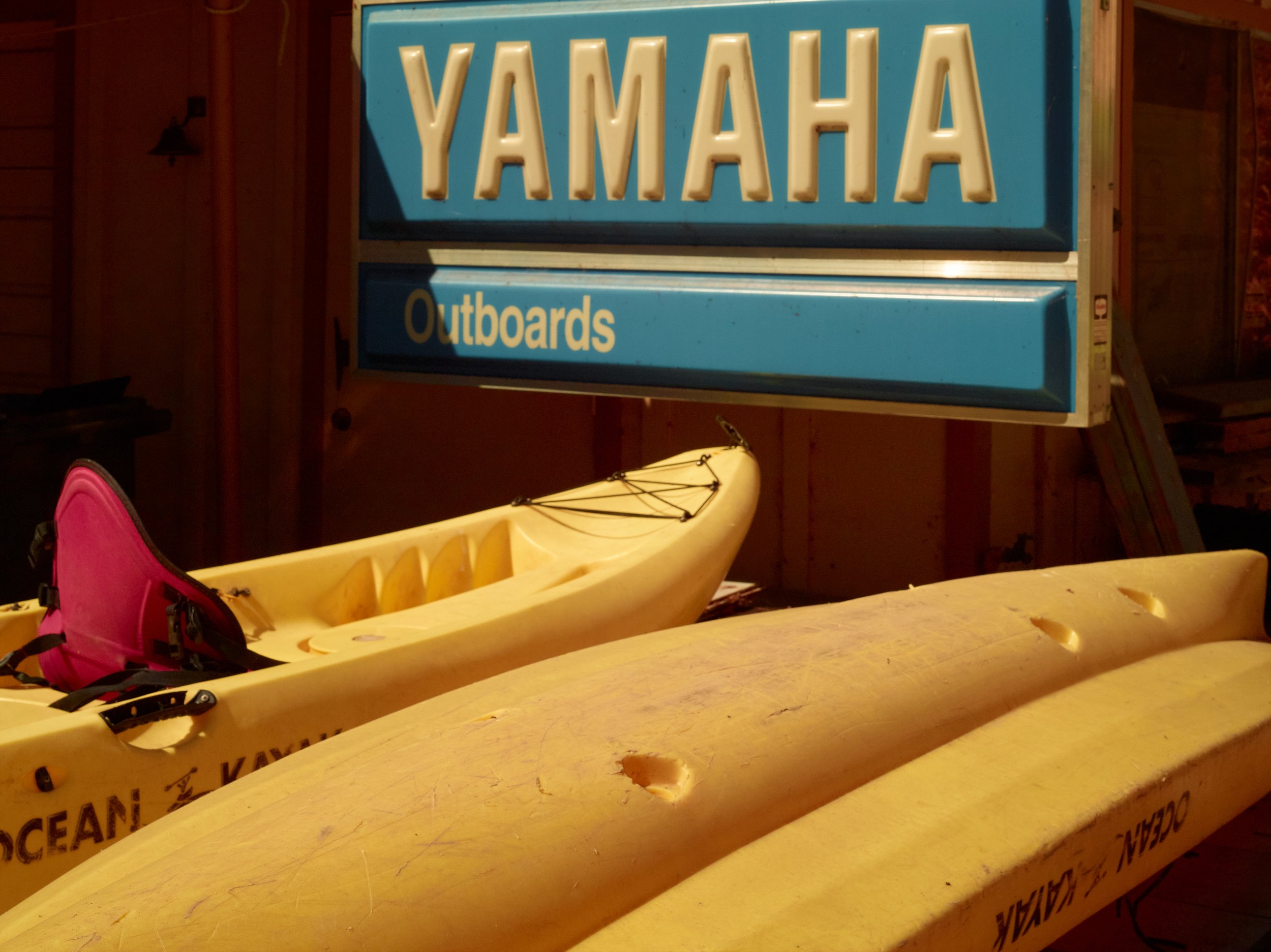 2024-08-23-©KevinAndrewLandes-Zoo-001-MSMD 11.jpg