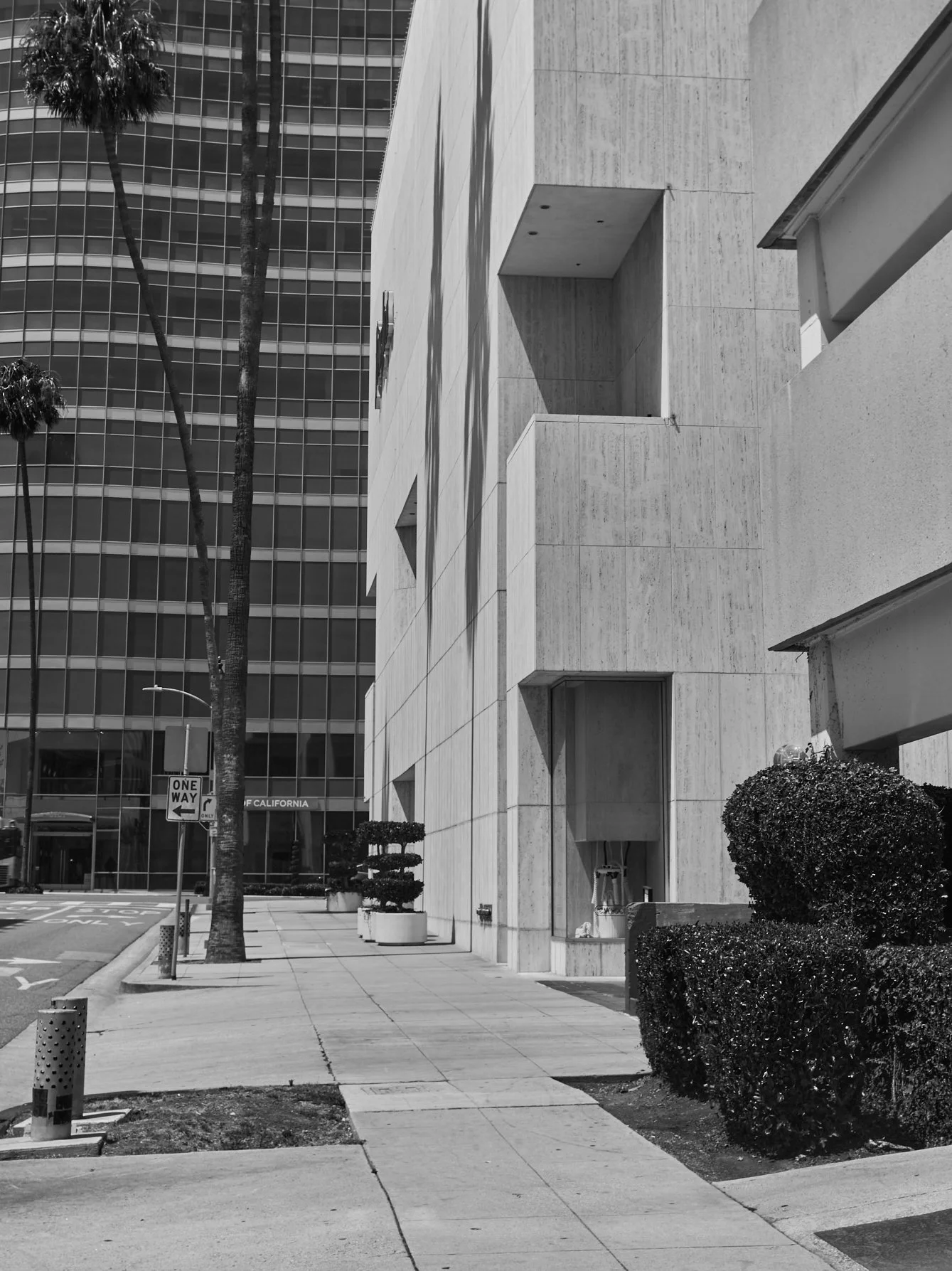 2024-08-23-©KevinAndrewLandes-Zoo-001-MSMD 28.jpg