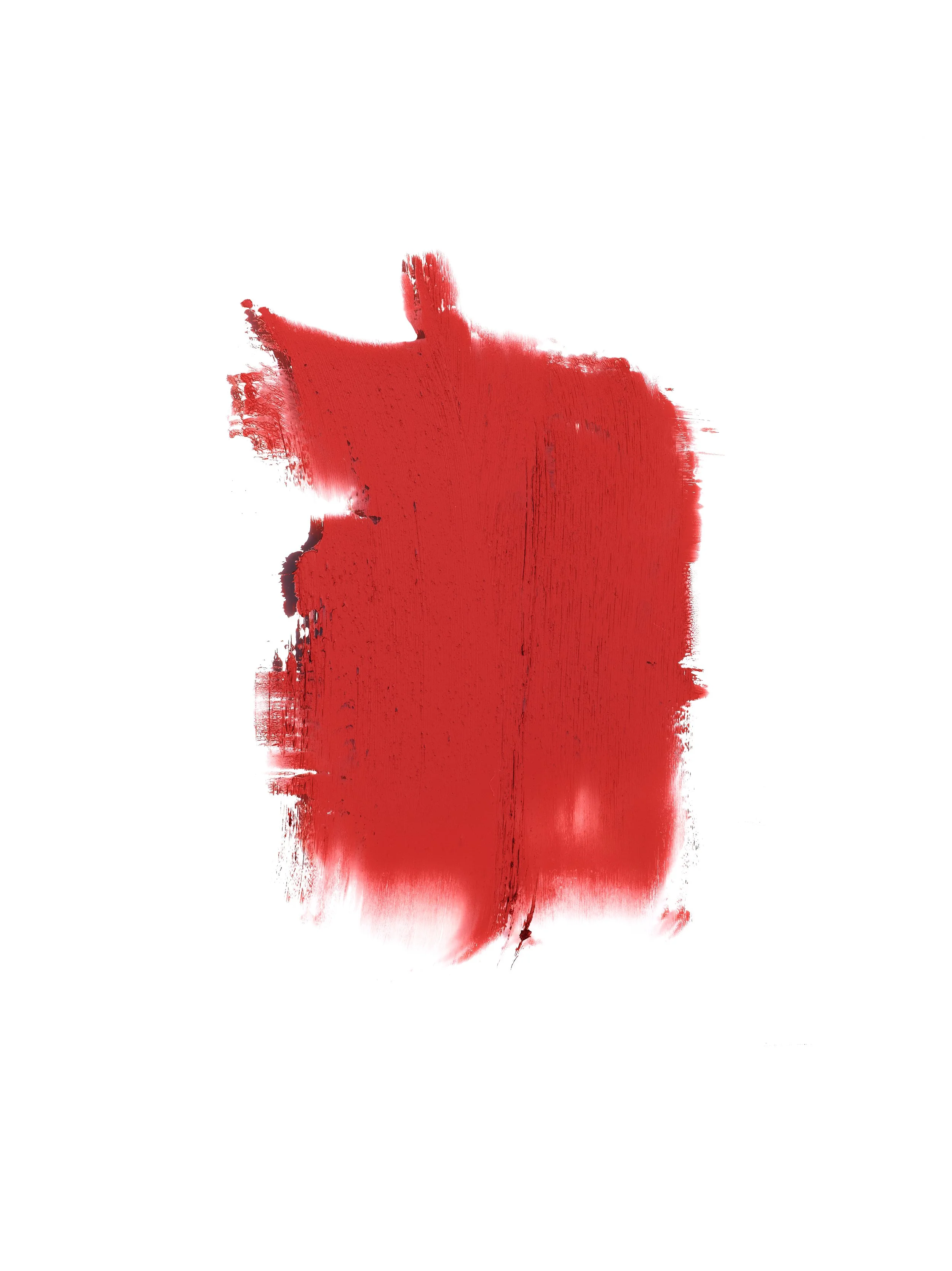 2024-08-23-©KevinAndrewLandes-Zoo-001-MSMD 37.jpg