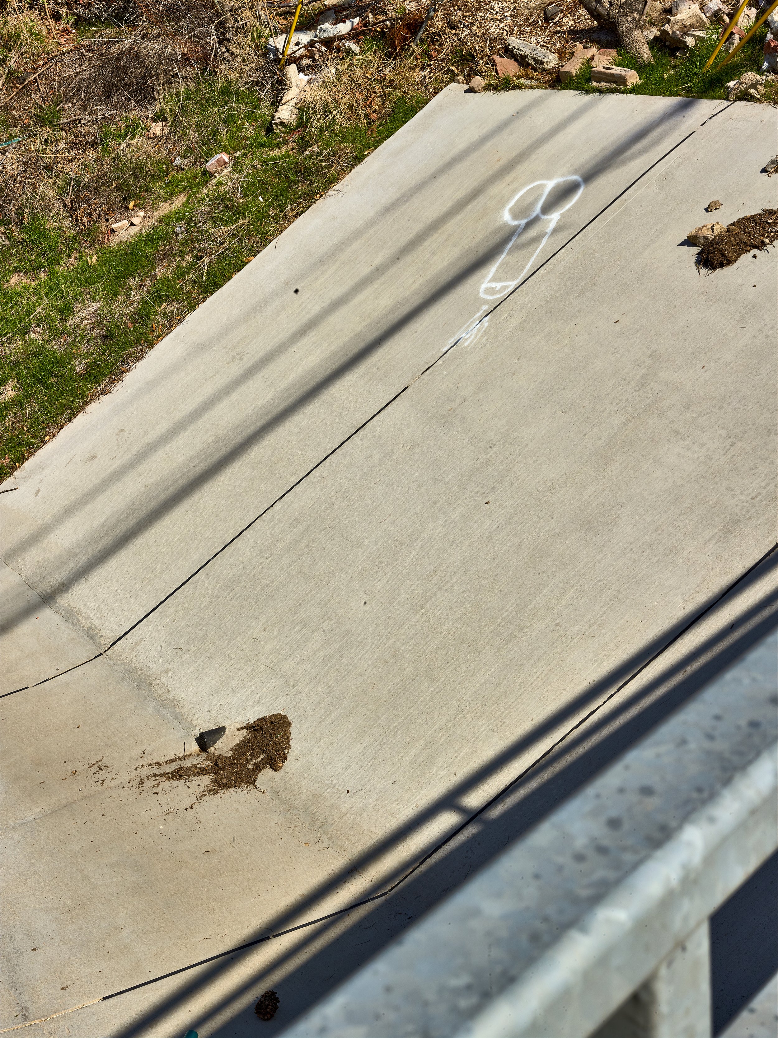 2024-08-23-©KevinAndrewLandes-Zoo-001-MSMD 27.jpg