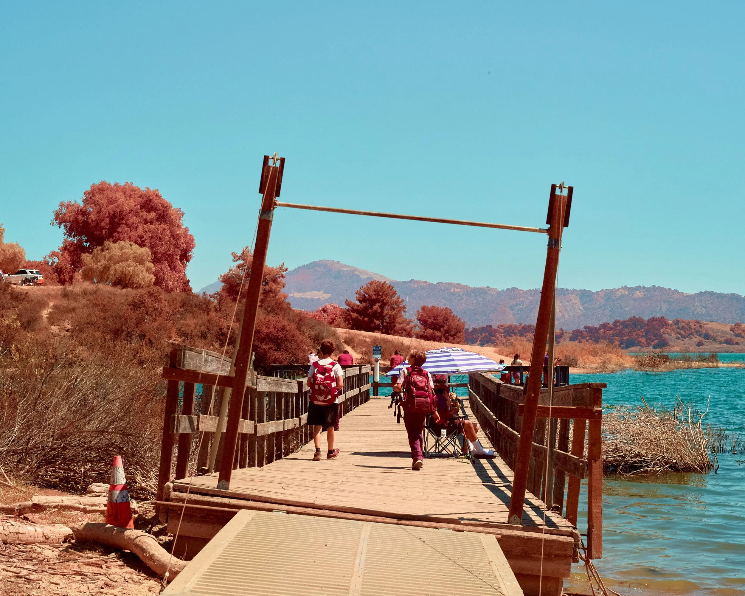 2024-08-23-©KevinAndrewLandes-Zoo-001-MSMD 23.jpg