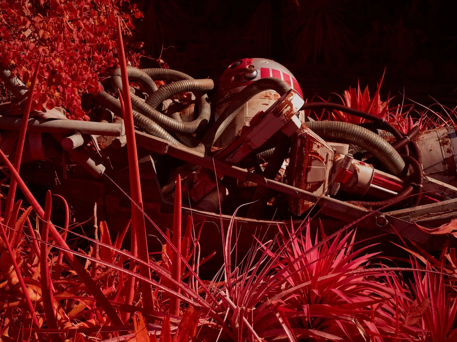 A pile of R-Class droids discarded in the brush. 