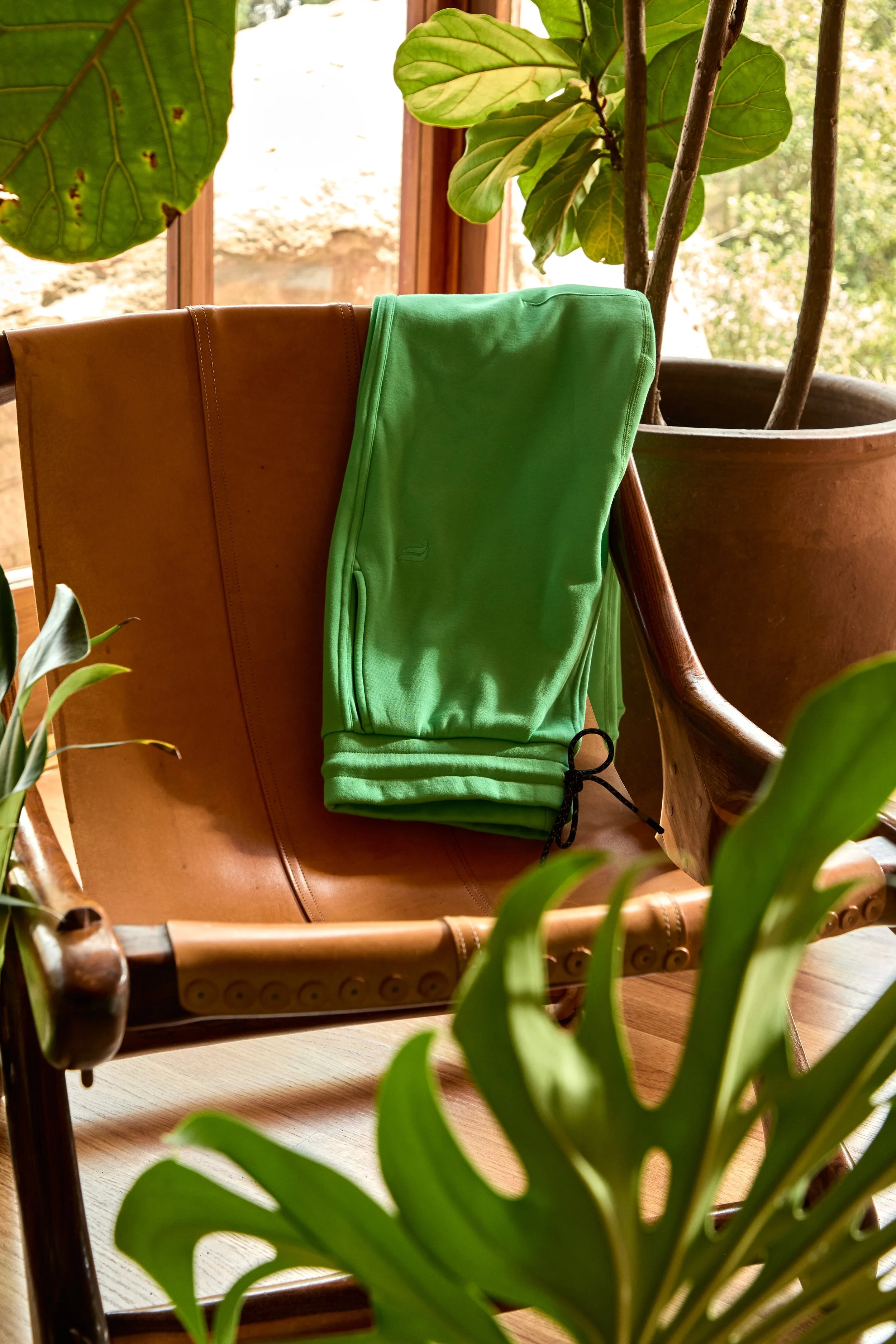 2024-08-23-©KevinAndrewLandes-Zoo-001-MSMD 85.jpg