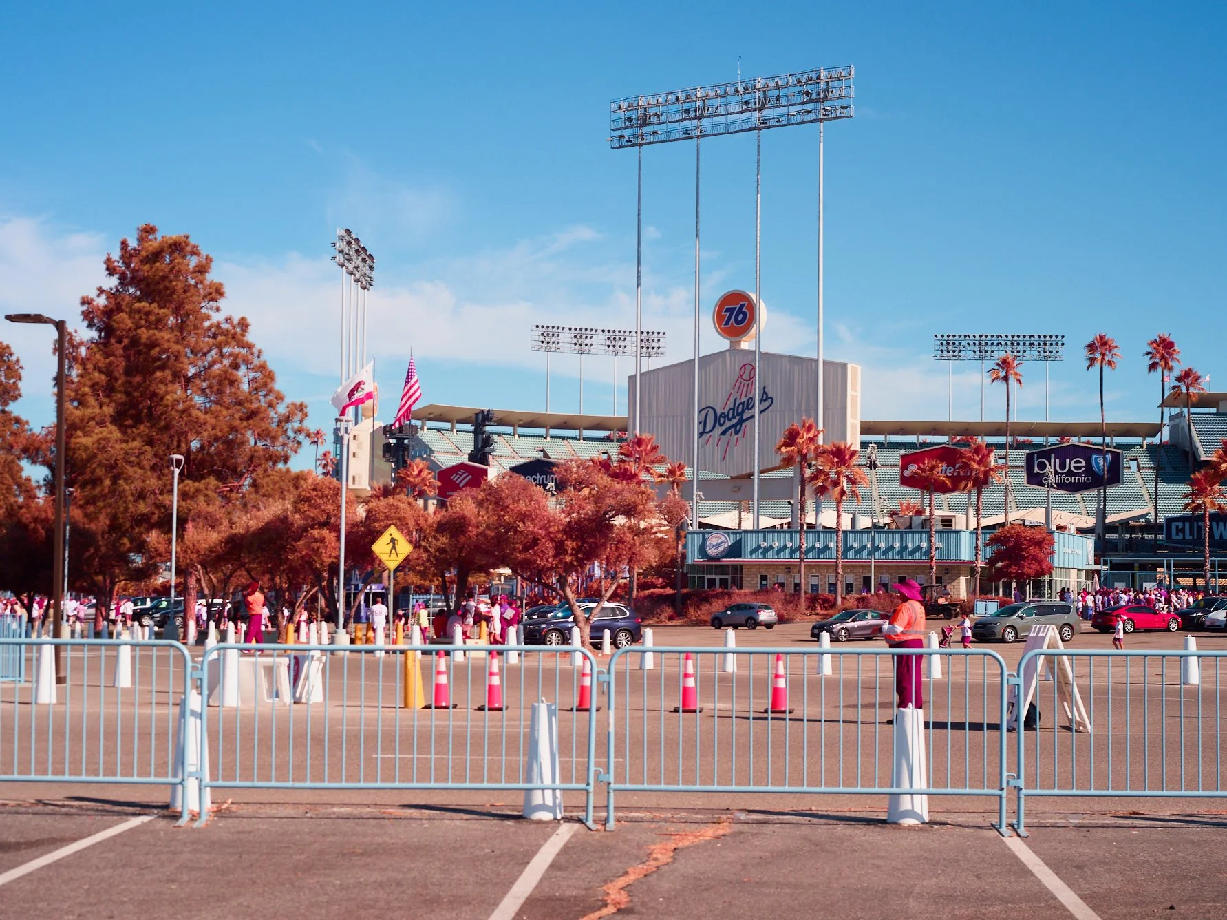 2024-08-23-©KevinAndrewLandes-Zoo-001-MSMD 22.jpg