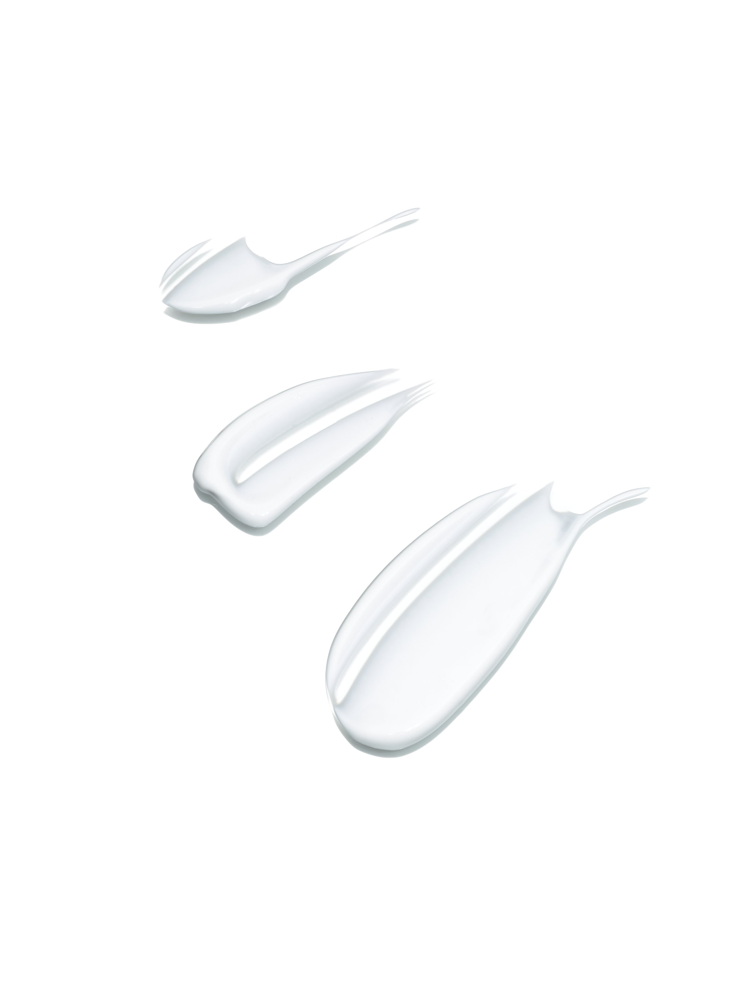 2024-08-23-©KevinAndrewLandes-Zoo-001-MSMD 40.jpg