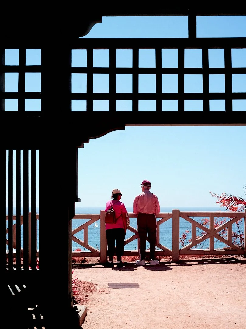 2024-08-23-©KevinAndrewLandes-Zoo-001-MSMD 6.jpg