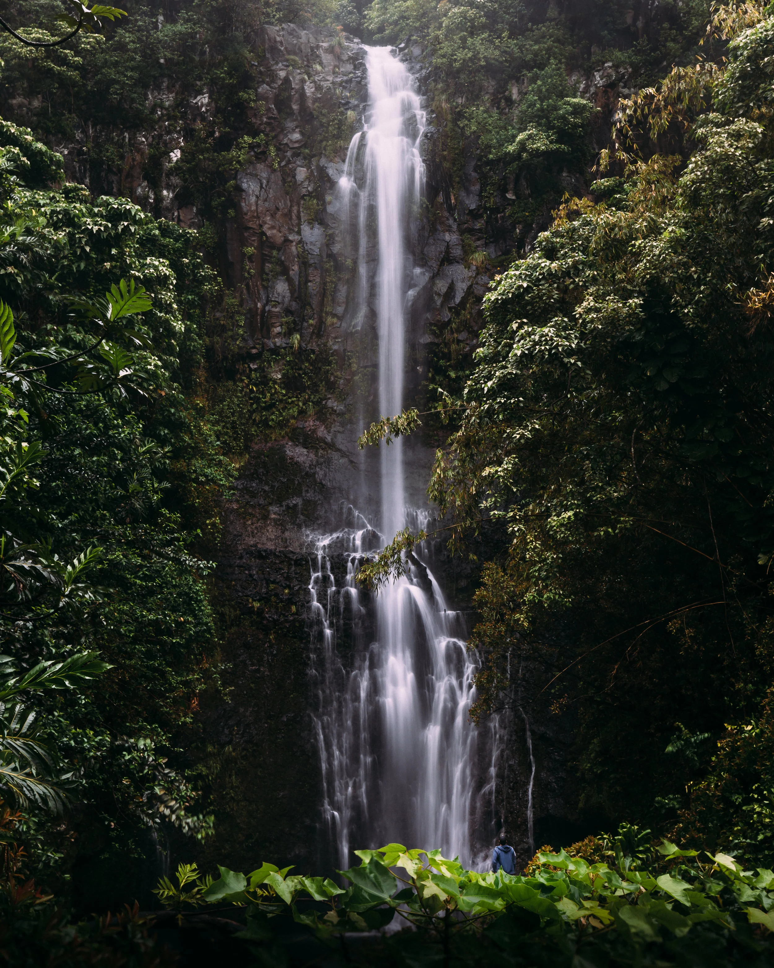 Maui / Hawaii