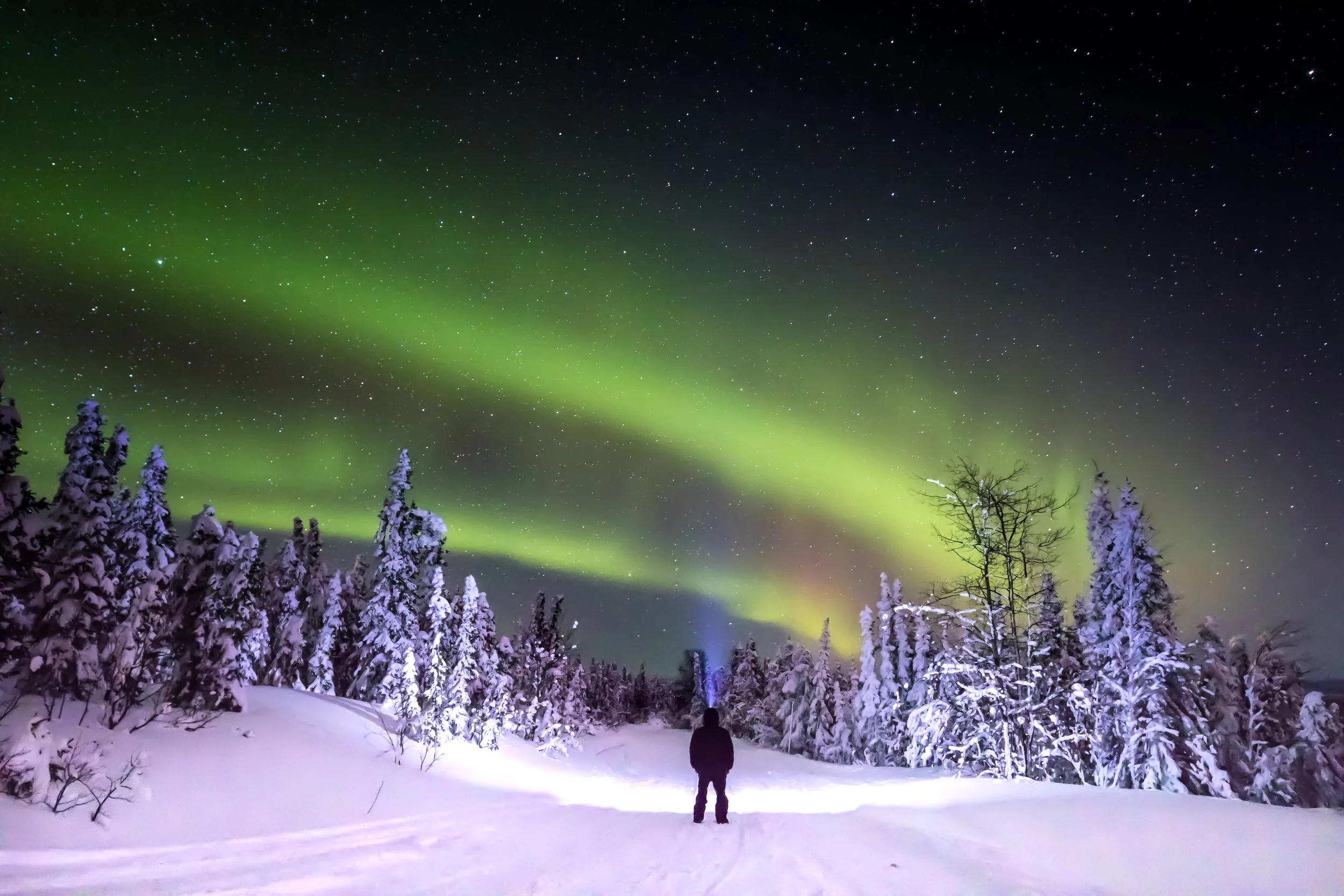 Northern Lights / Alaska