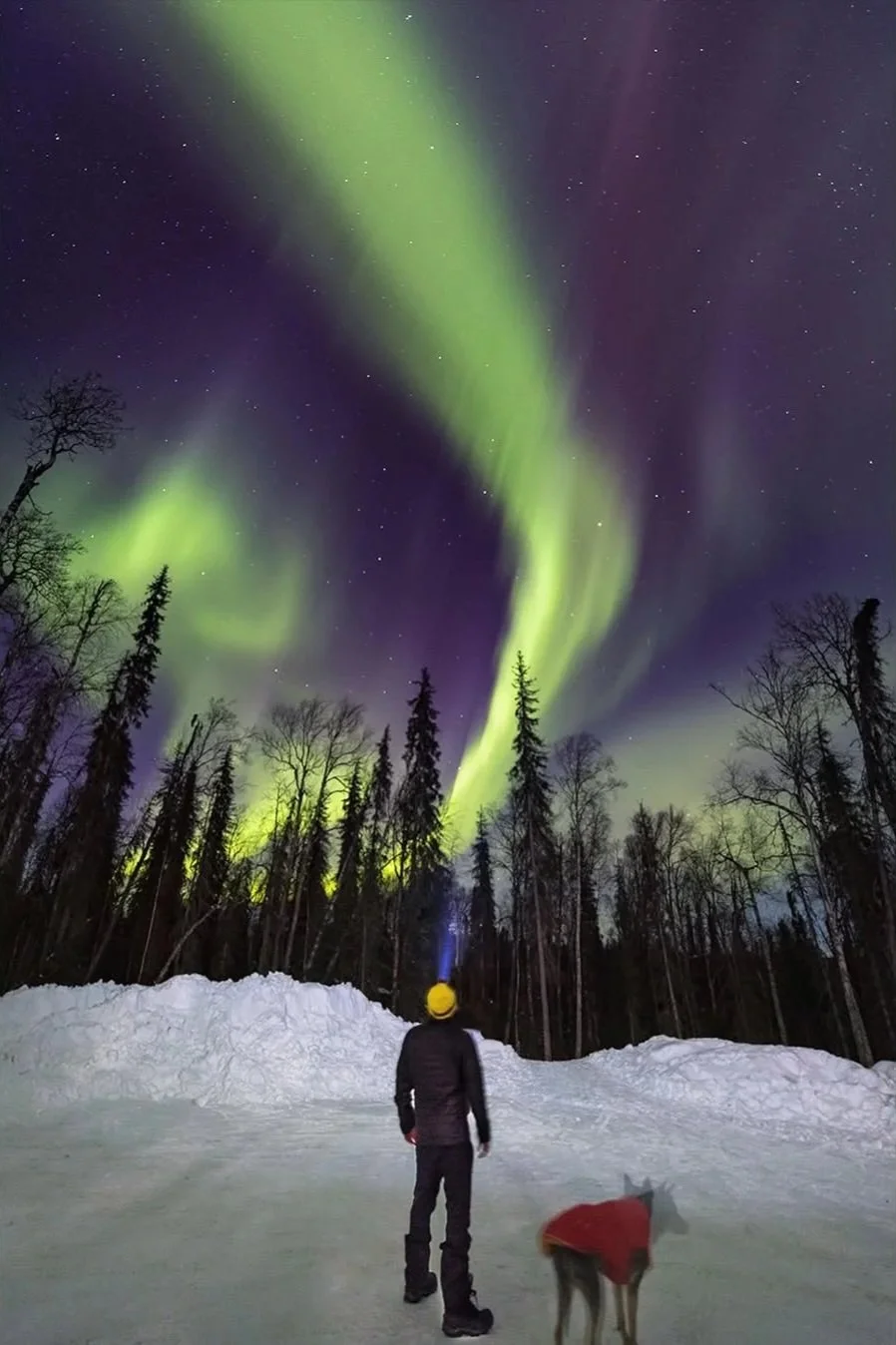 Talkeetna, Alaska