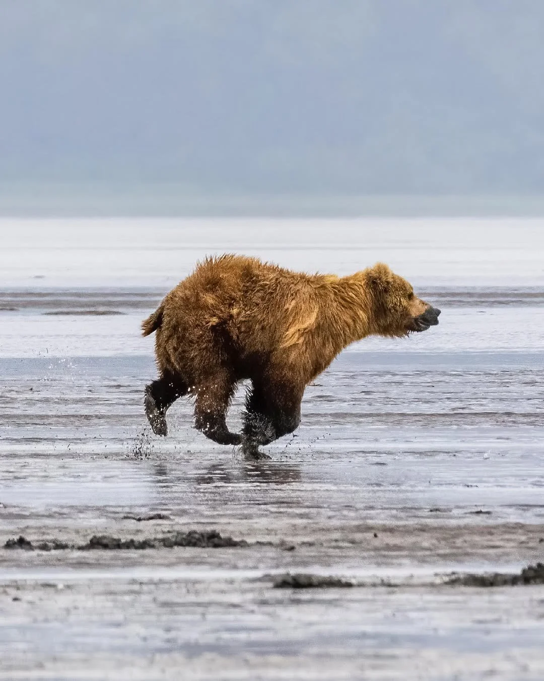 Lake Clark National Park and Preserve, Alaska