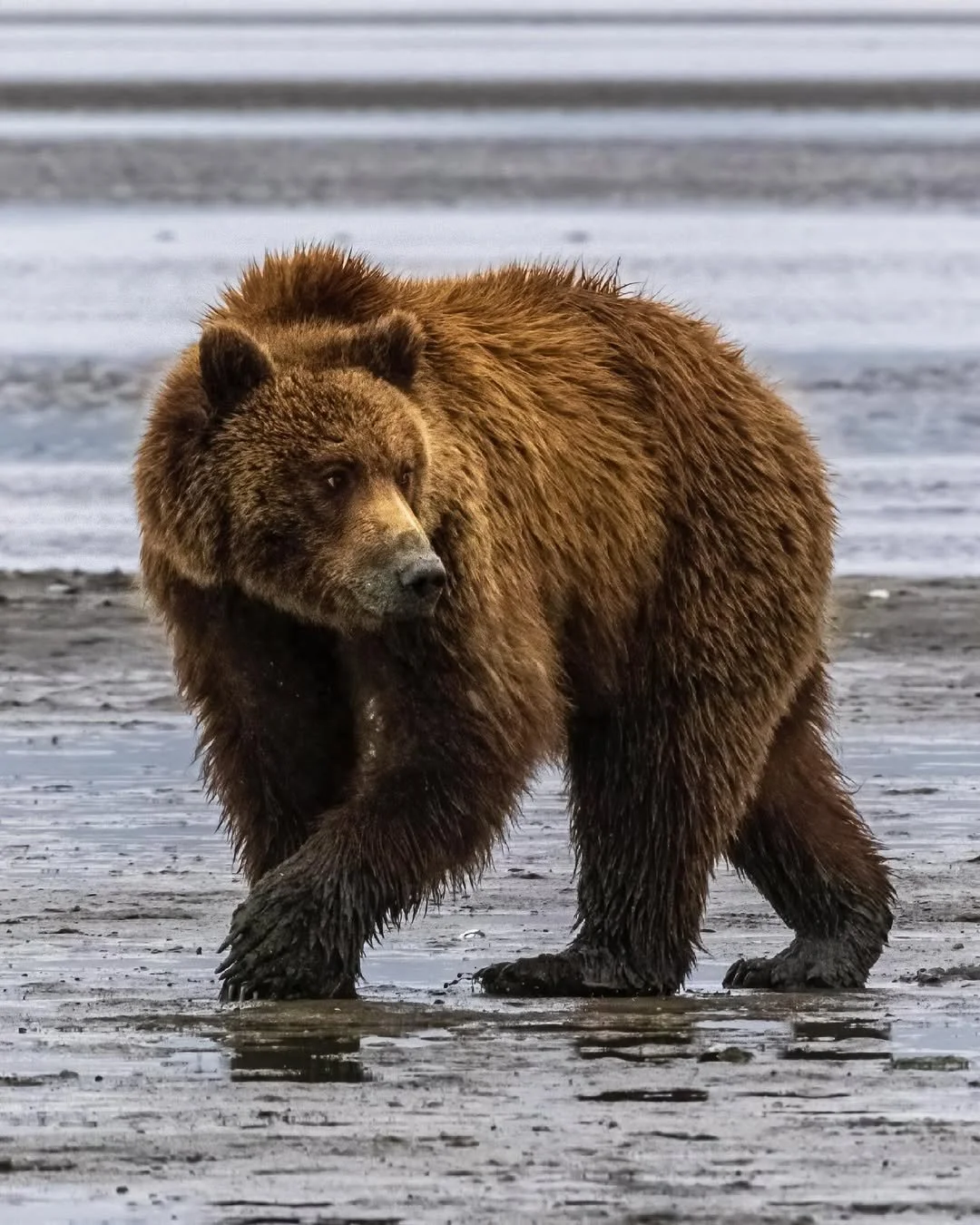 Lake Clark National Park and Preserve, Alaska