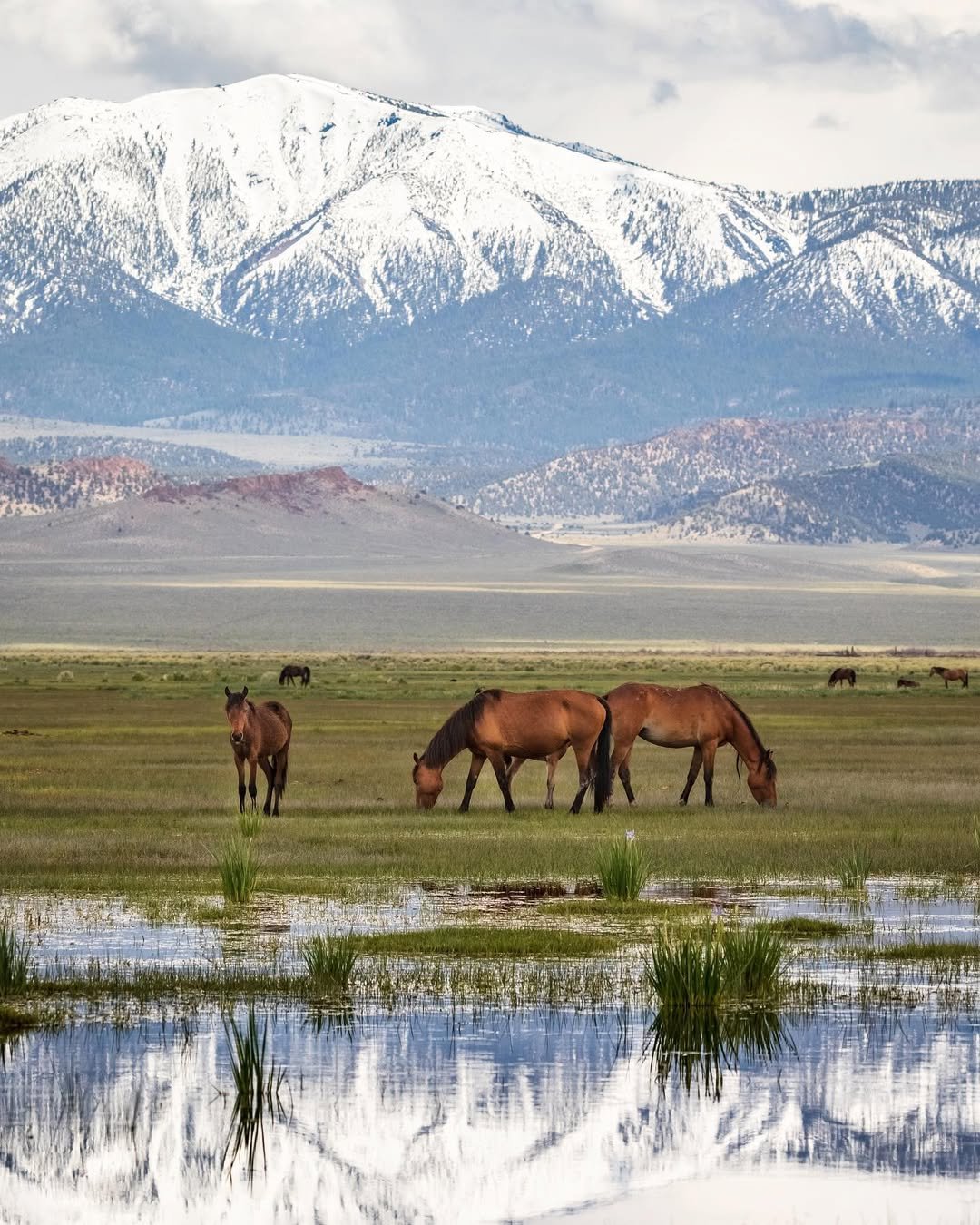 Eastern Sierras, California