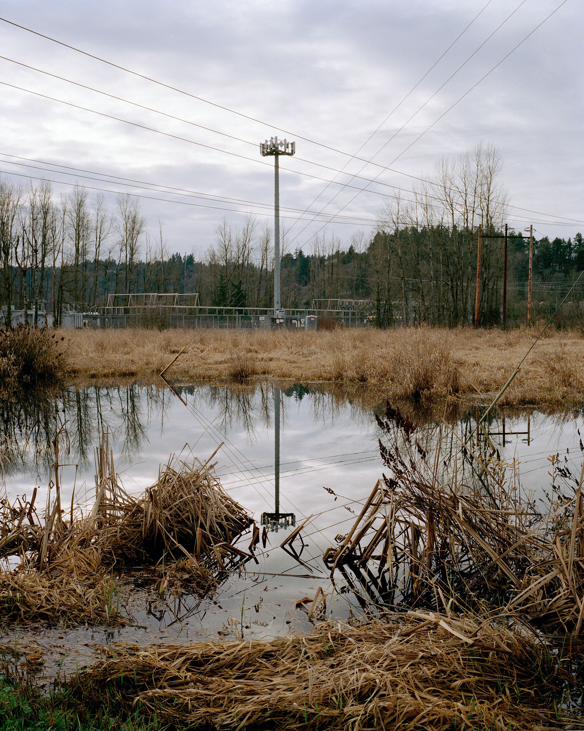  I received the Picturing Trails grant in 2017, a project in partnership with  4Culture  and  King County Parks  to comprehensively capture and interpret the Regional Trail System through photography. I spent a year on the  Regional Trails of King Co