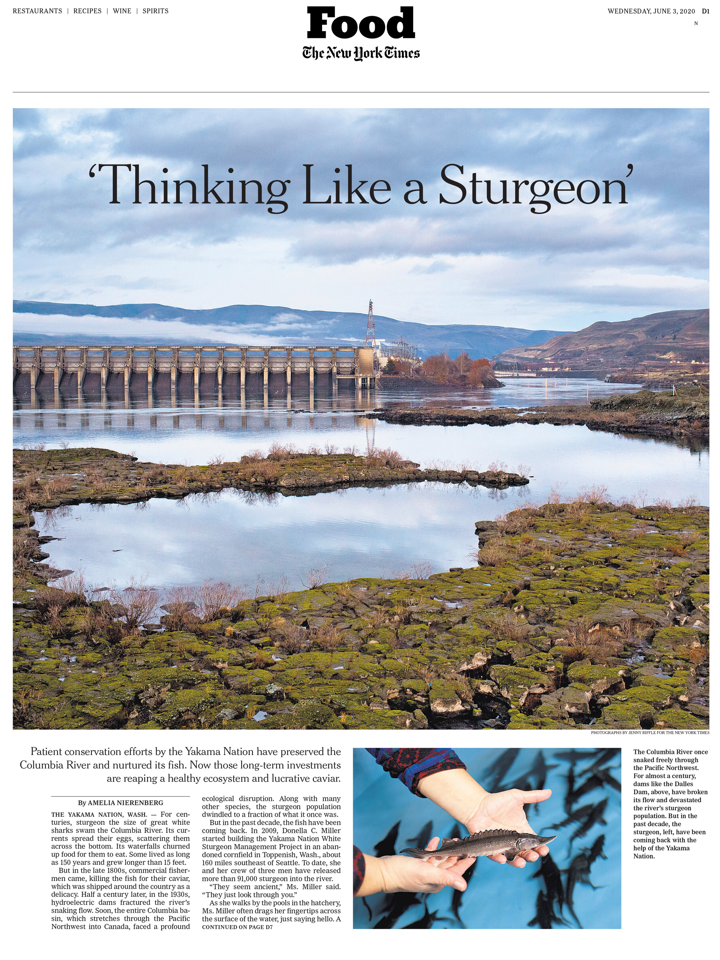Yakima Nation Sturgeon Hatchery for The New York Times