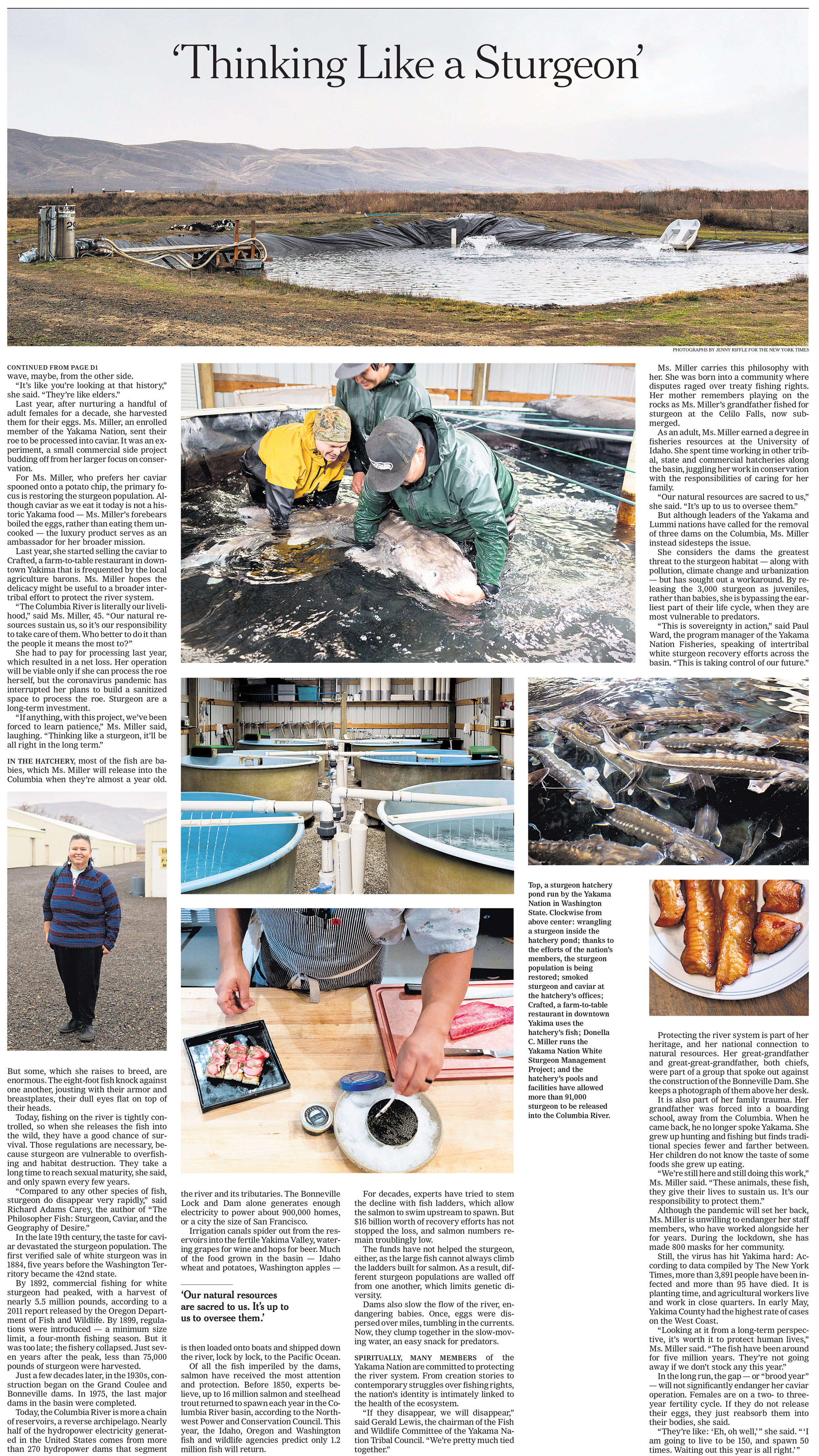 Yakima Nation Sturgeon Hatchery for The New York Times