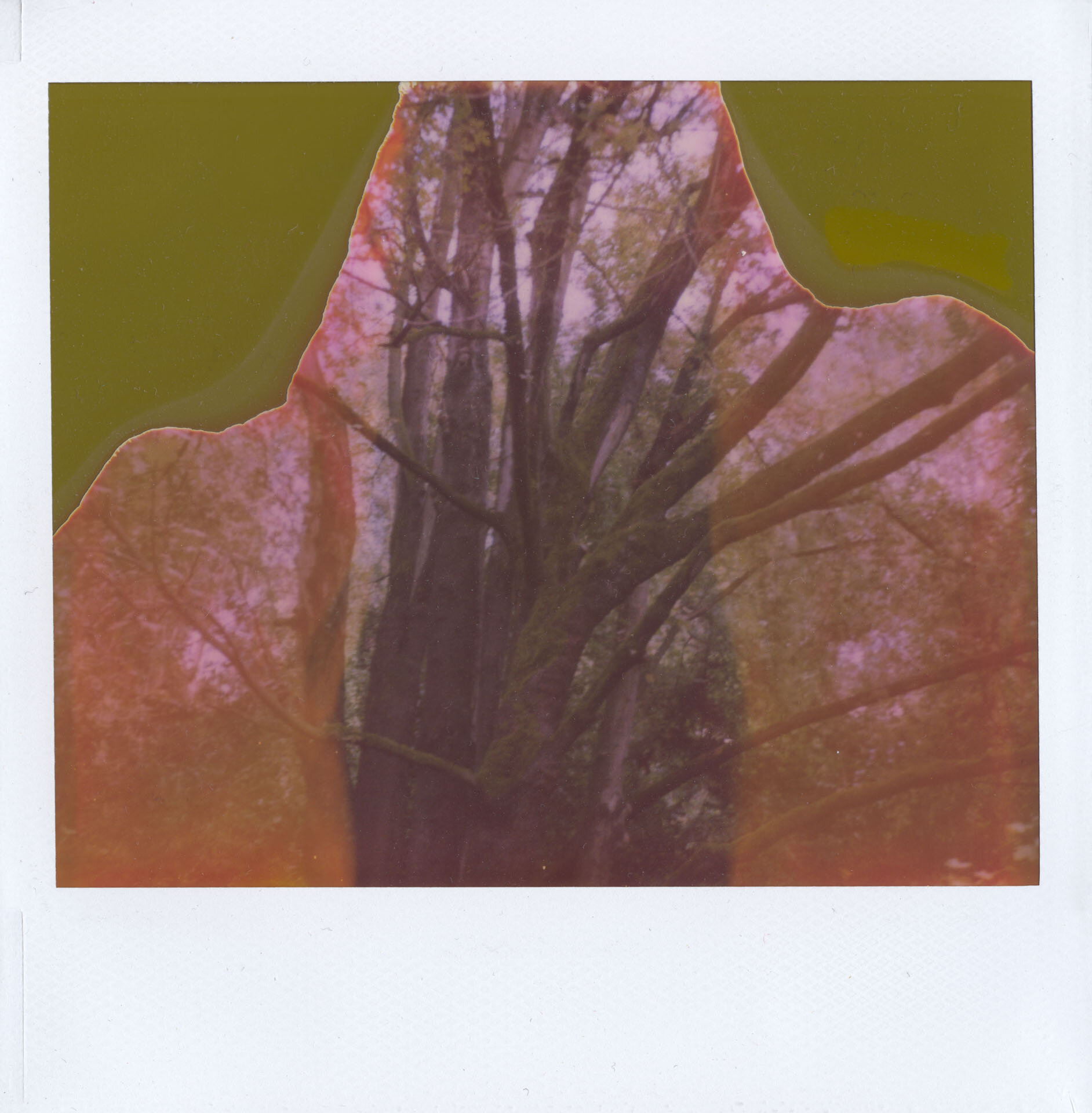 polaroid_2020_07.jpeg