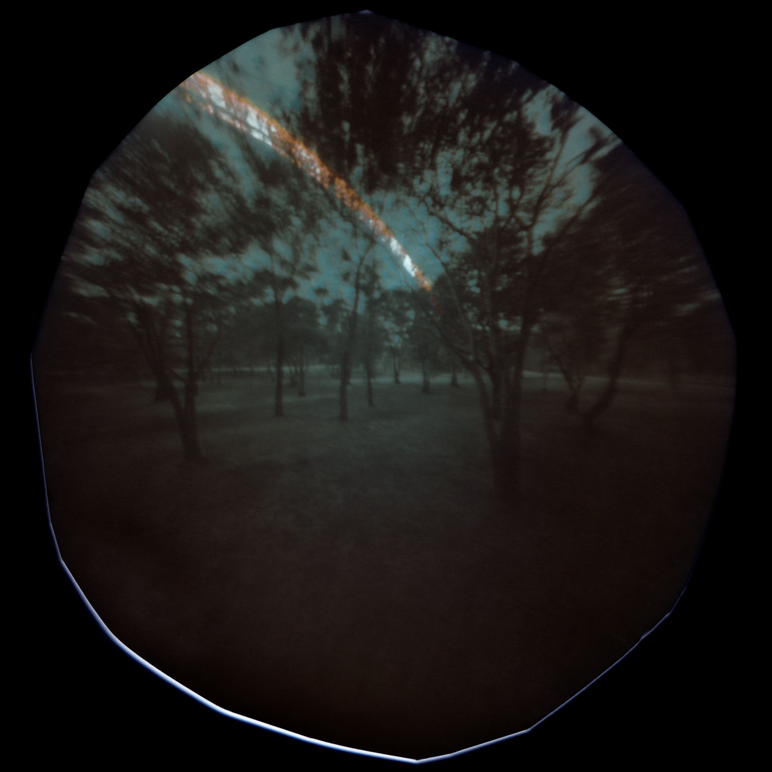    Cracks Into Other Worlds     I can only feel my body when I’m looking at the fading leaves and the bending branches of the trees.   For several weeks at the end of 2022 while at an artist residency I made long exposure pinhole images in the parks 