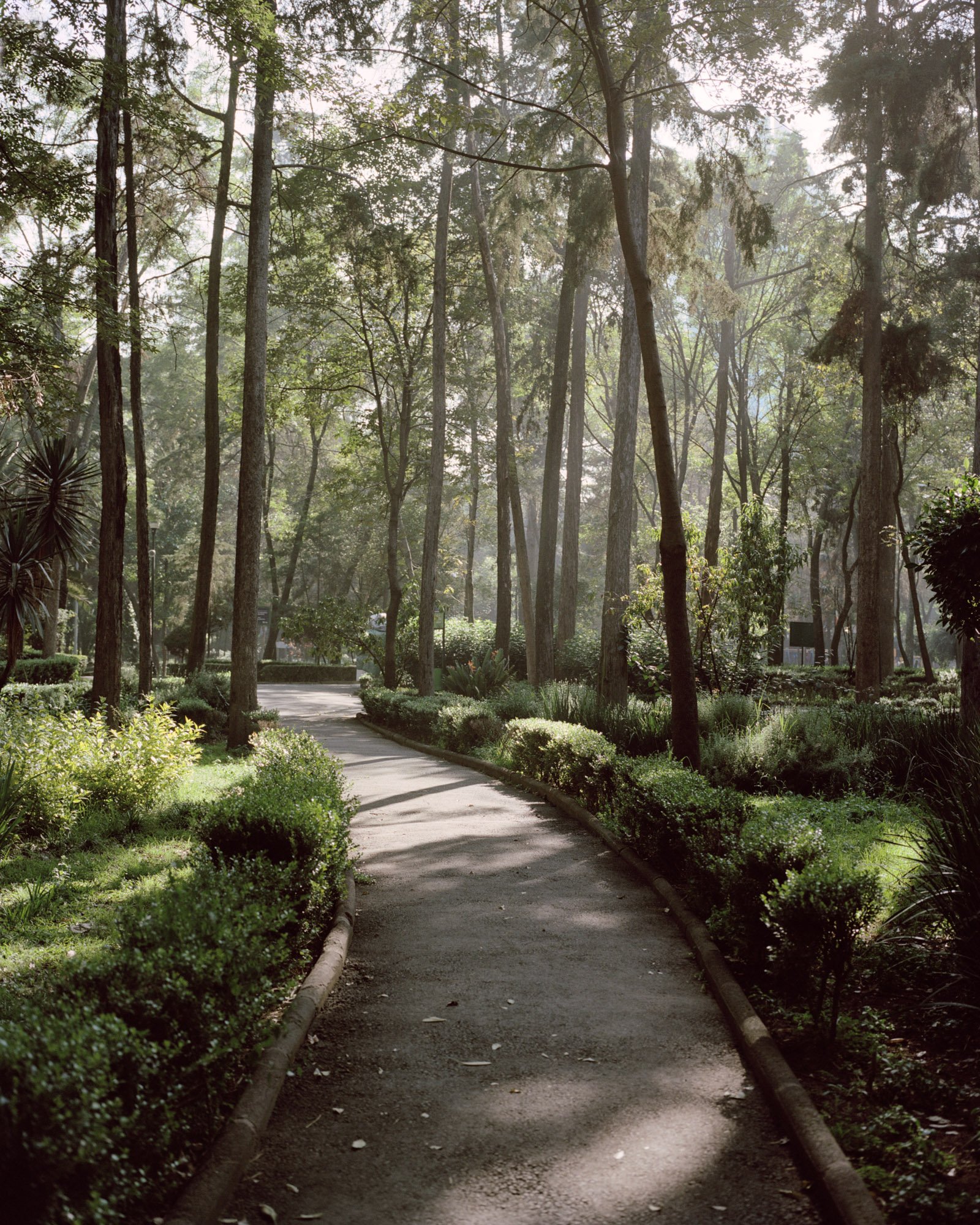 10 Pathway in Parque Hundido CDMX 2022.jpg