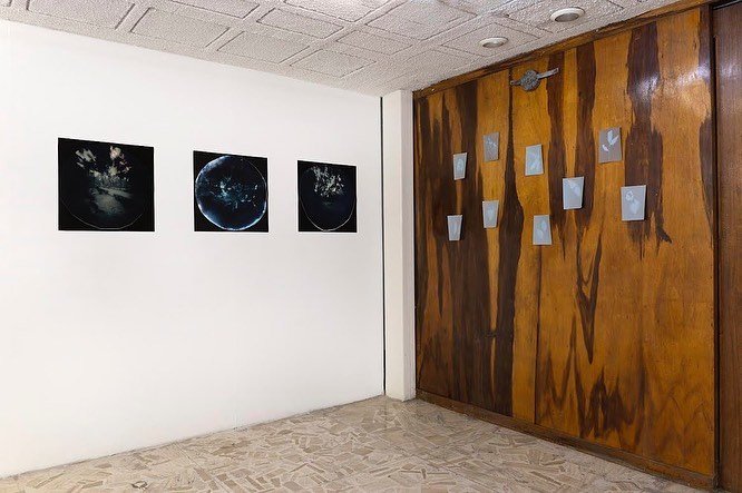 Exhibition view at Casa Lü, Mexico City