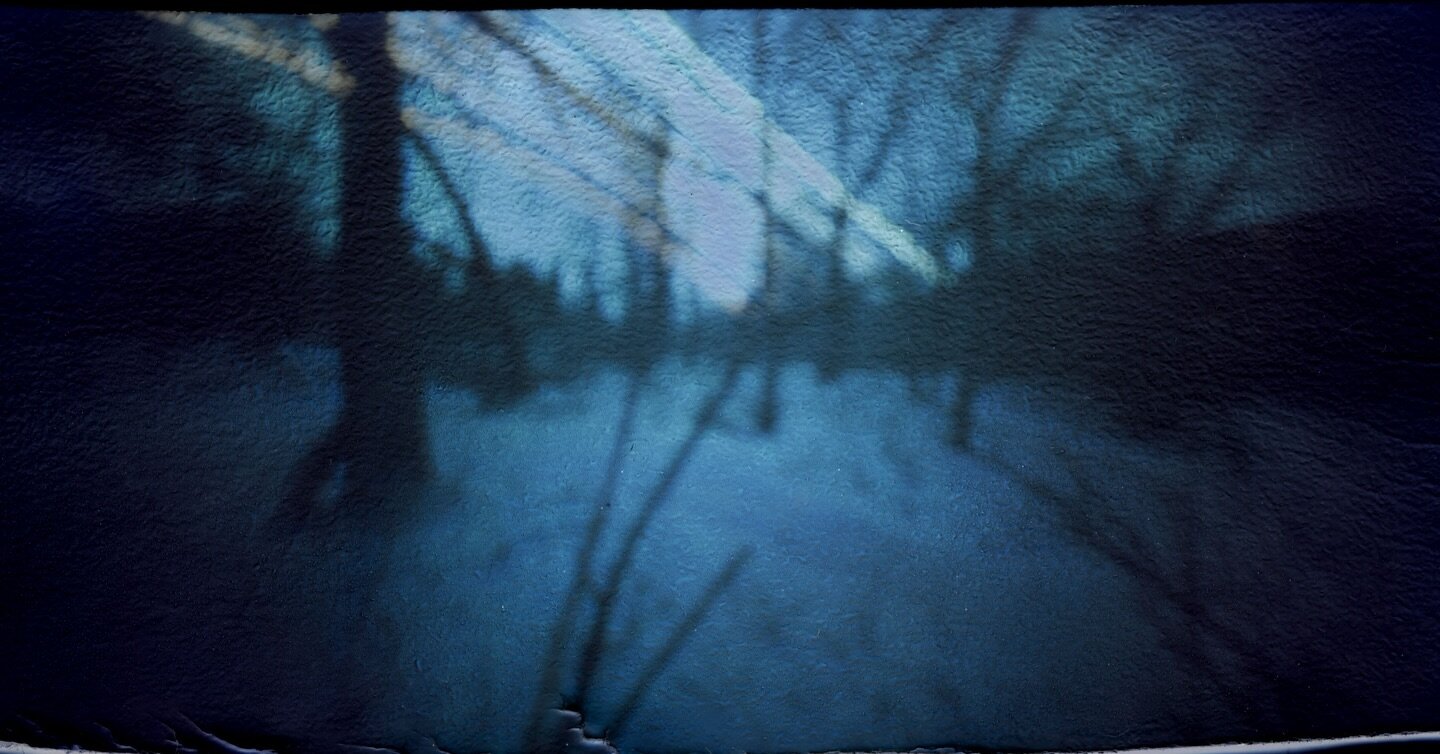 Three month pinhole exposure from winter to spring in the Butternut Valley NY- love how the ground is light from the snow, I don&rsquo;t usually get that in the pnw where there was no snow on the ground for more than a couple days.

#longexposurepinh