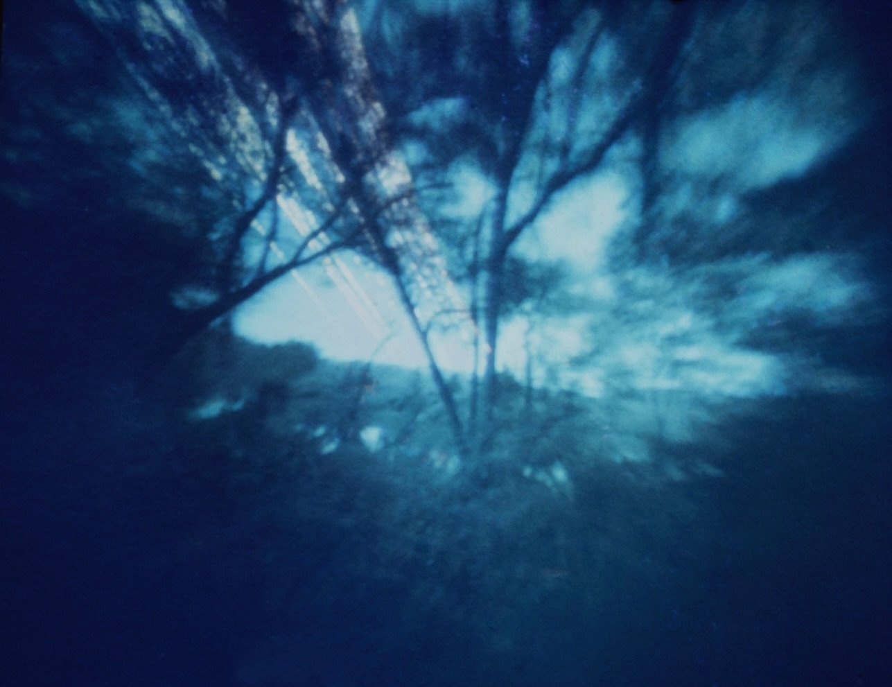 Here are two pinholes that captured summer all in one long exposure. I had both cameras exposing from the summer solstice in June to the autumnal equinox today. I think it was a bit too dark in the forest I put the second camera in✨👽 

#solarography
