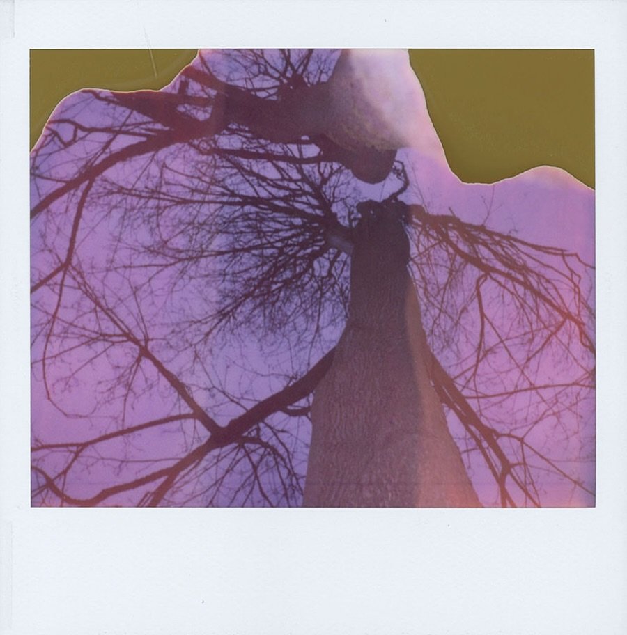 I participated in a fun exchange project and sent in one of my Spectra Polaroids to the Upstate Art Swap- I found a few expired boxes of spectra film back in 2020 and started photographing trees. I loved the way the chemicals had dried up and the ima