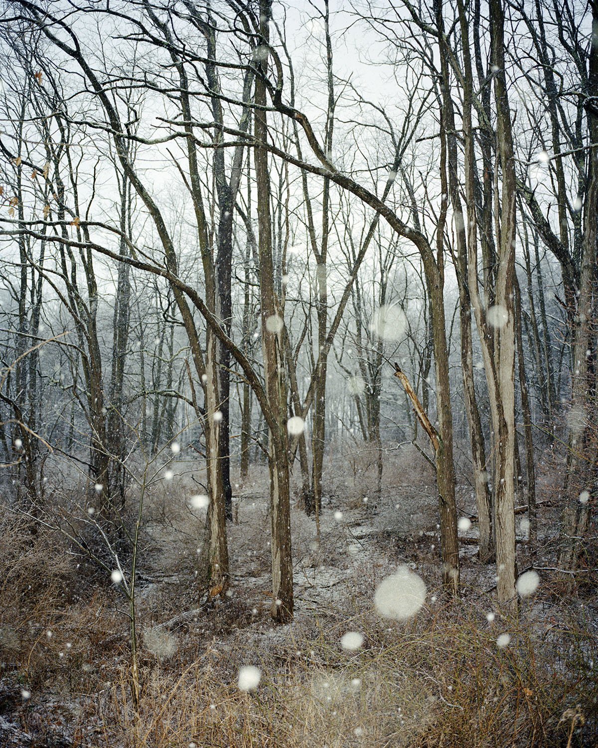 2024_Orbs on Lovers Lane.jpg