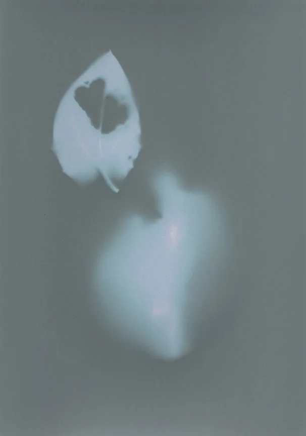 what is a ghost-7.jpg