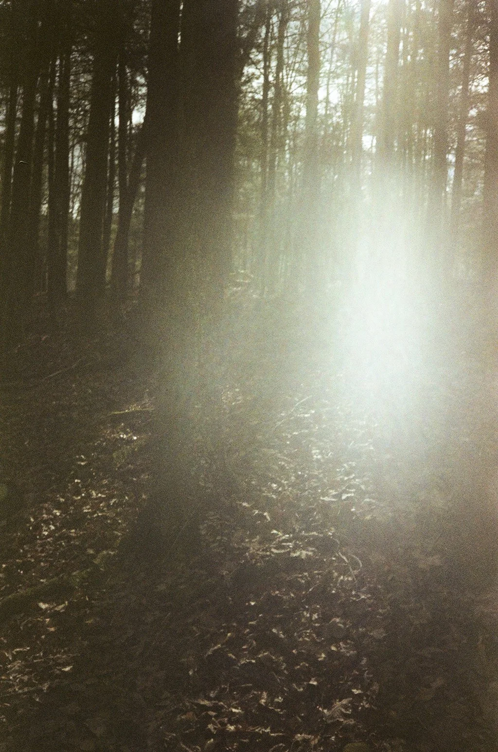 what is a ghost-10.jpg