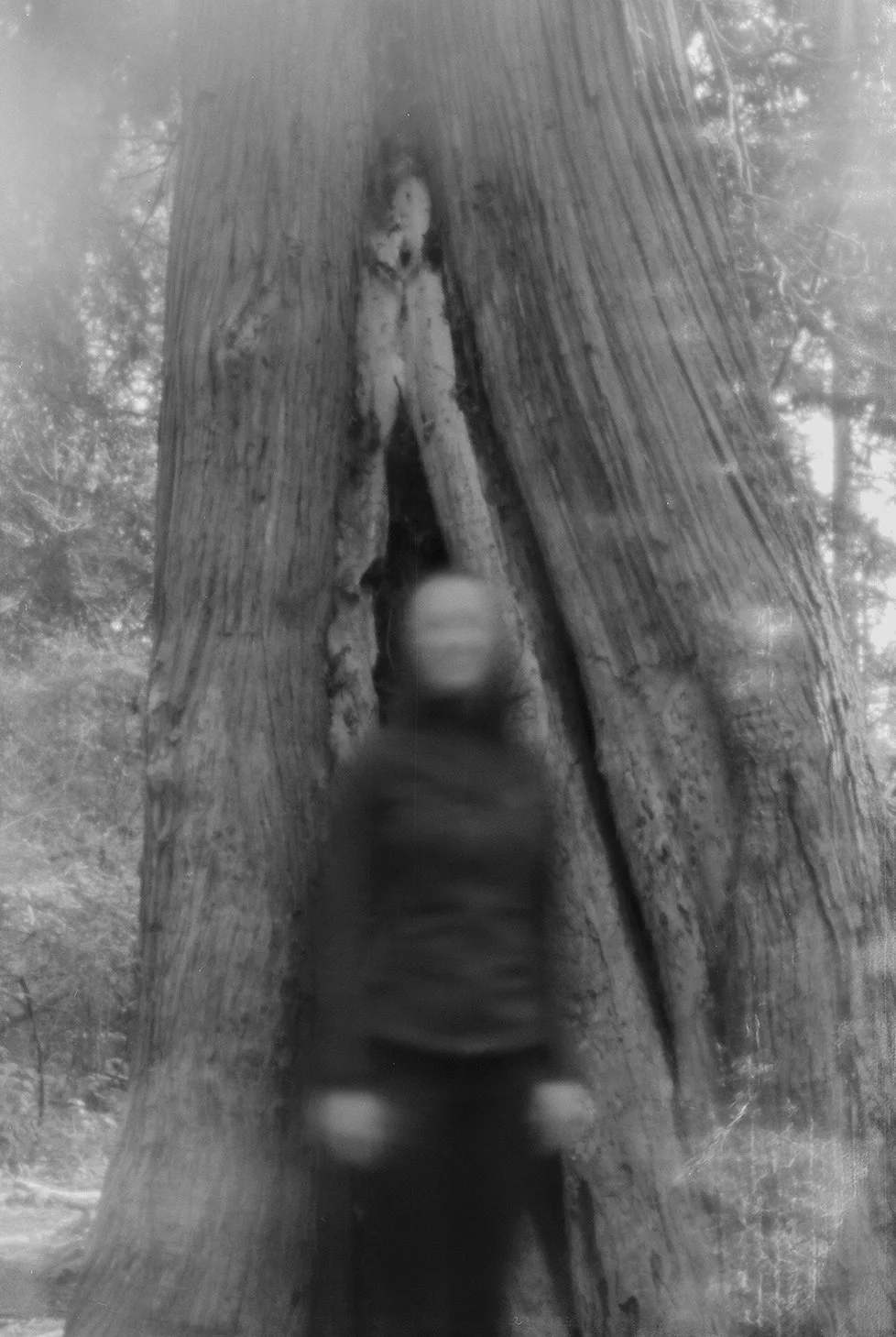 what is a ghost-17.jpg