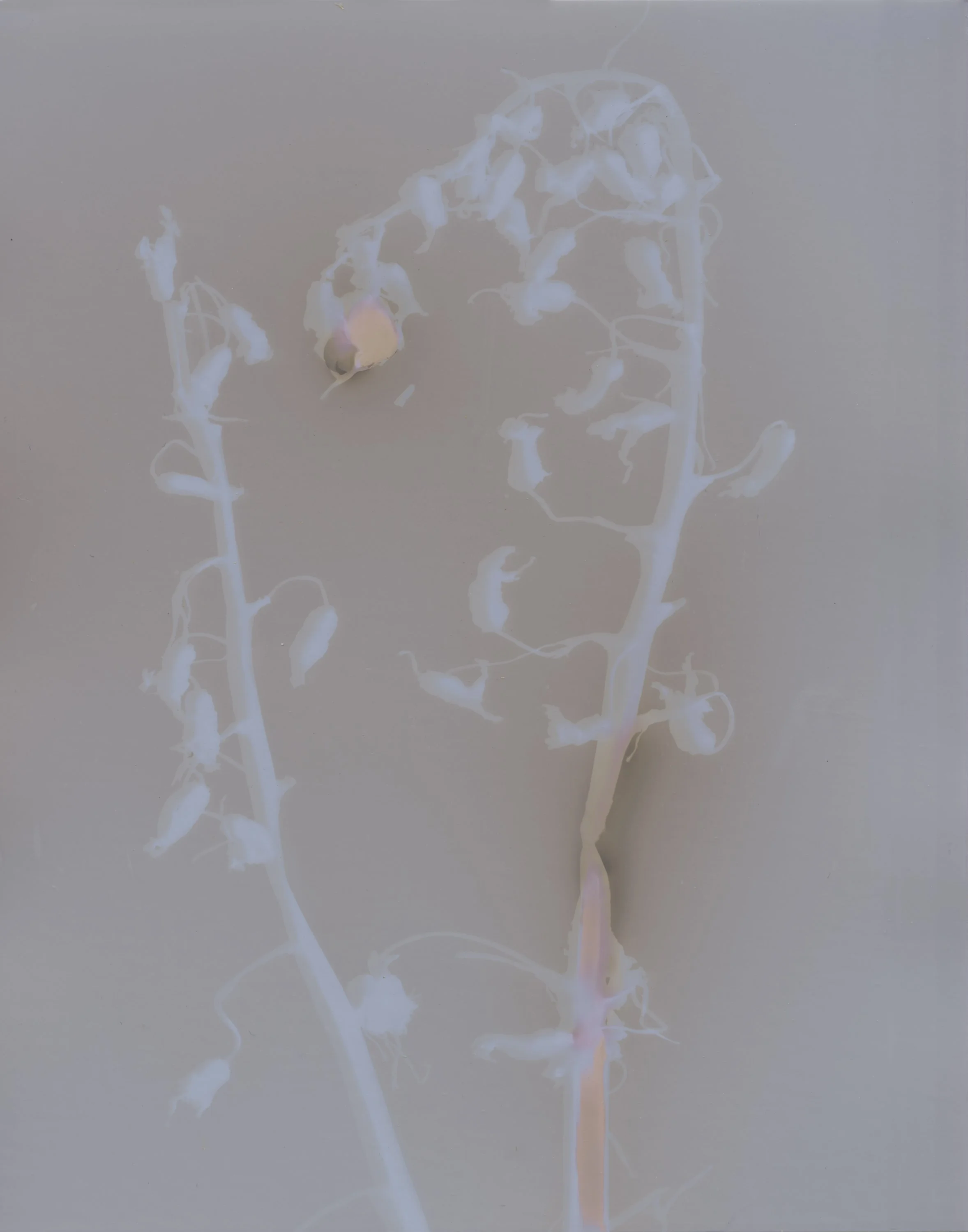 what is a ghost-21.jpg