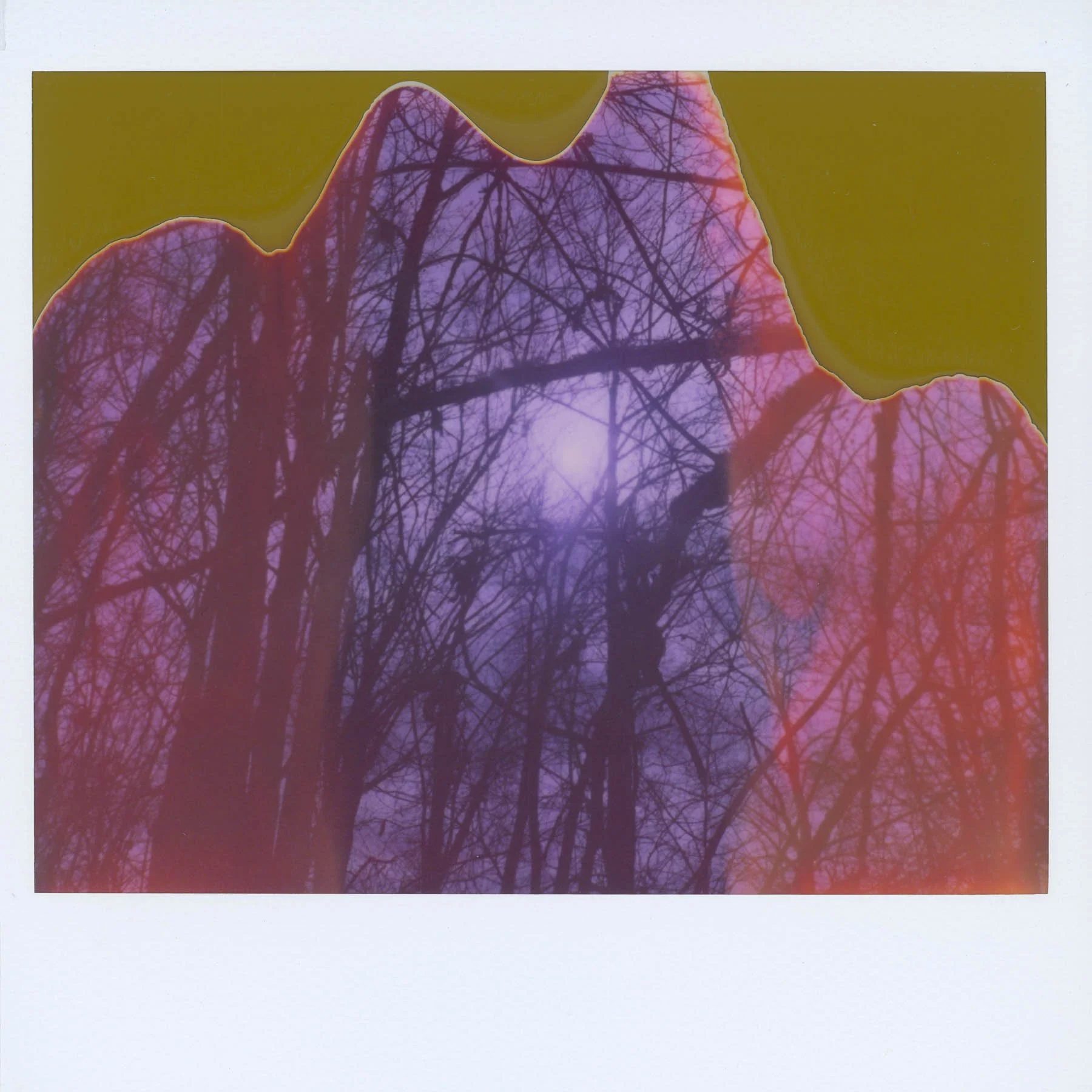 2021_polaroid8.jpg