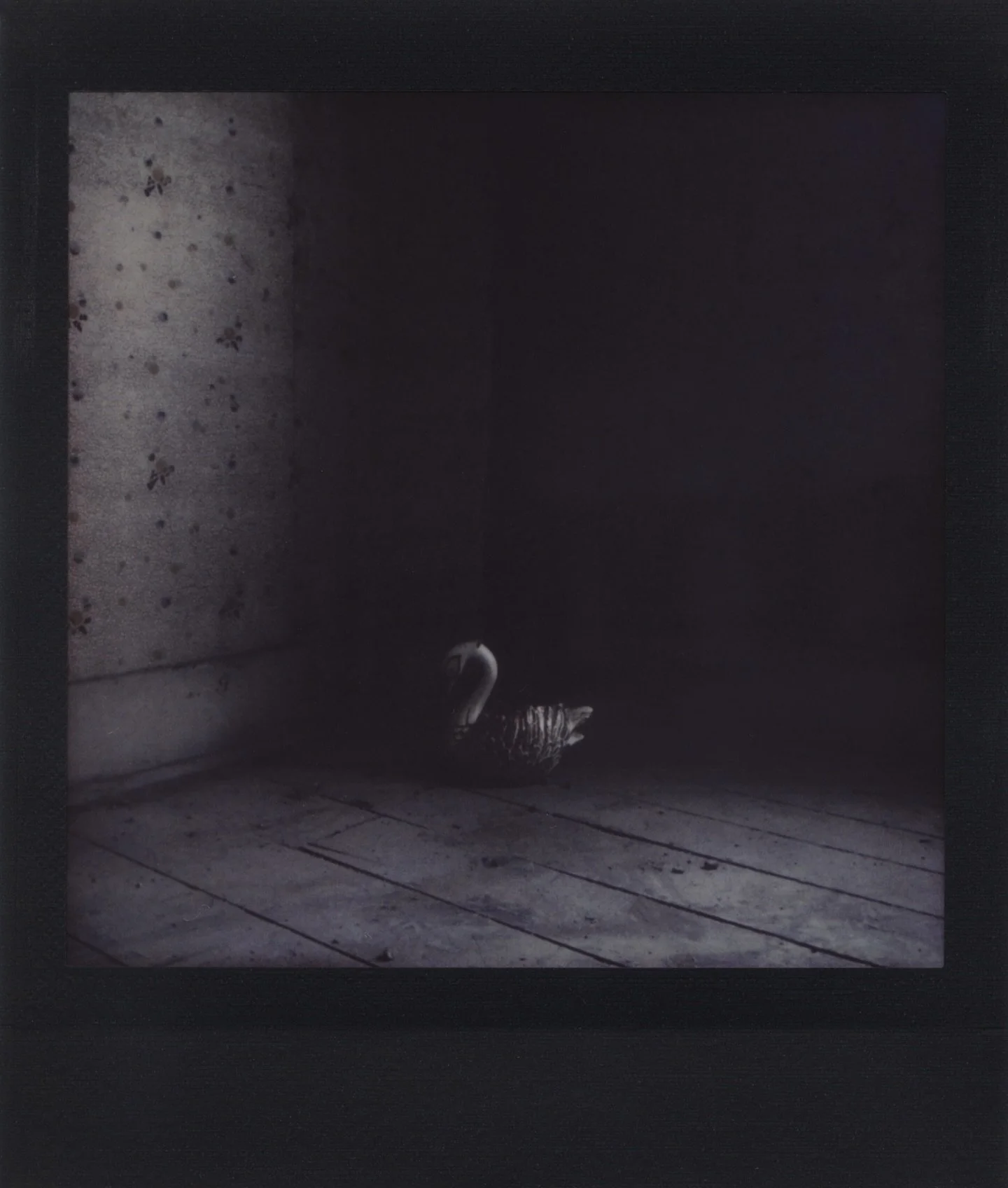 Looking for ghosts 🖤 what is a ghost? I see ghosts in the shadows all the time, just at the edge of vision, is that where the ghosts live? Is my shadow a ghost?

#whatisaghost #spiritphotography #spiritualistmedium #fujifilm #fujifilminstaxsq20 #gho