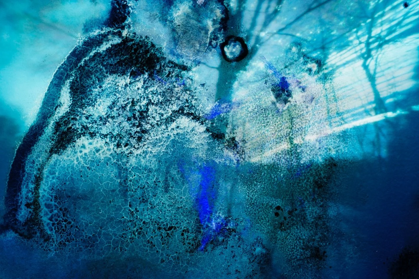 Two mysterious pinhole collaborations with nature - it&rsquo;s very wet and humid here and I&rsquo;m getting a lot of mold in my long exposure pinholes. Second image was up for a year - summer solstice to summer solstice- the first was six months sum